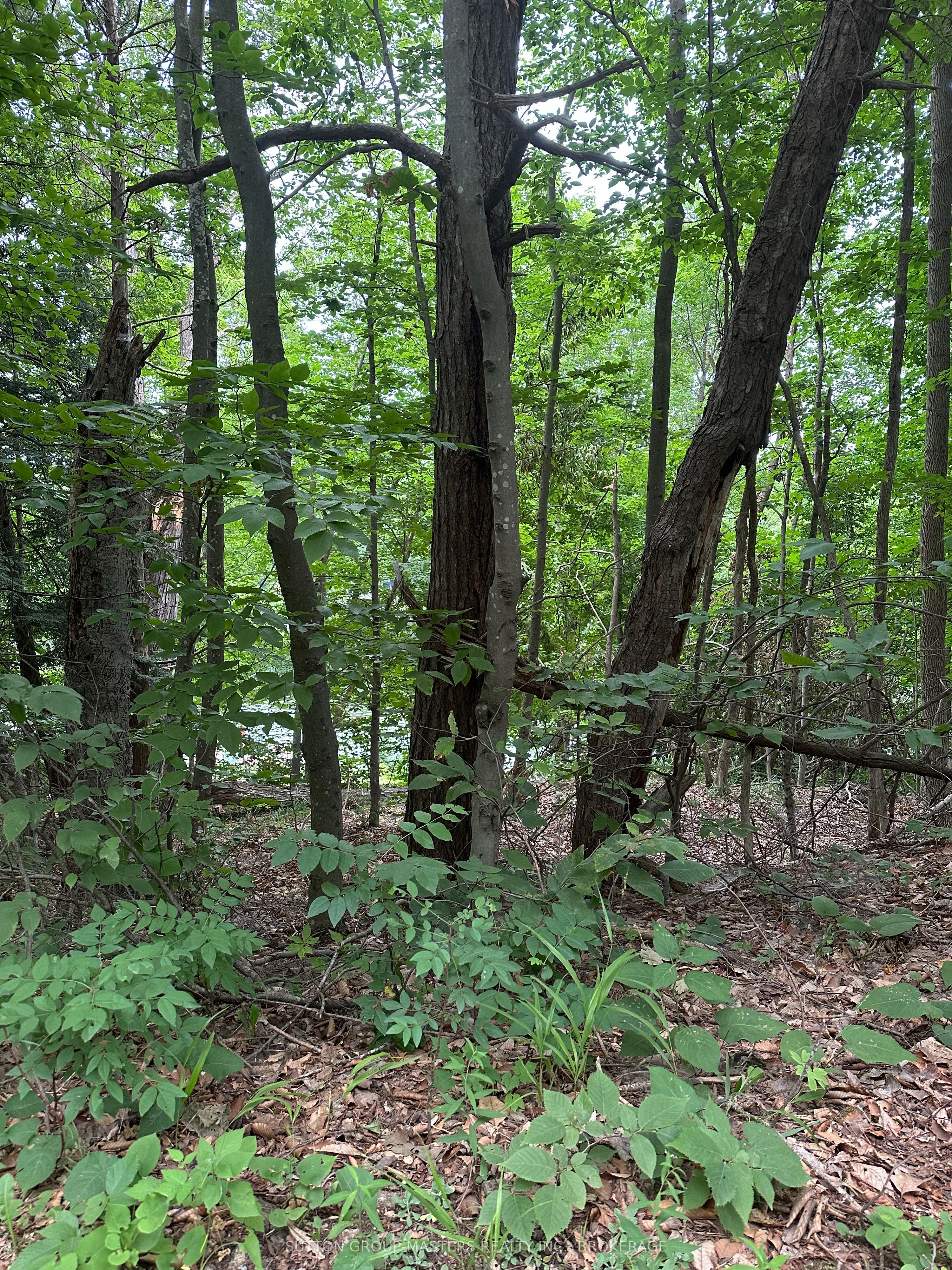 0 Silver Rock Lane Property Photo 2