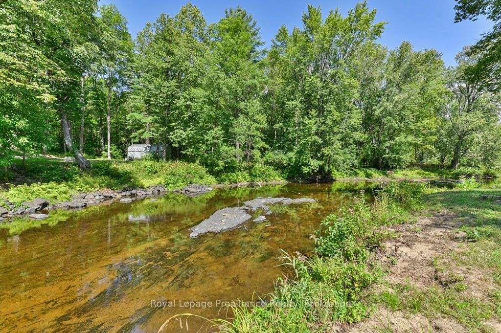 174 Cottage Lane Property Photo 37