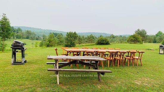 317051 Highway 6 & 10 Property Photo 5