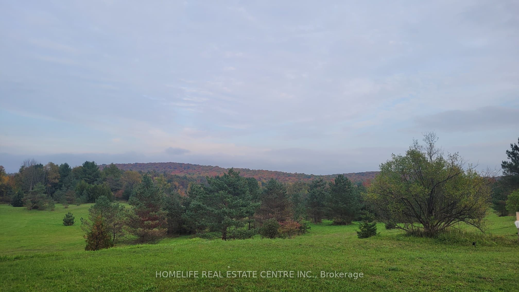 317051 Highway 6 & 10 Property Photo 6