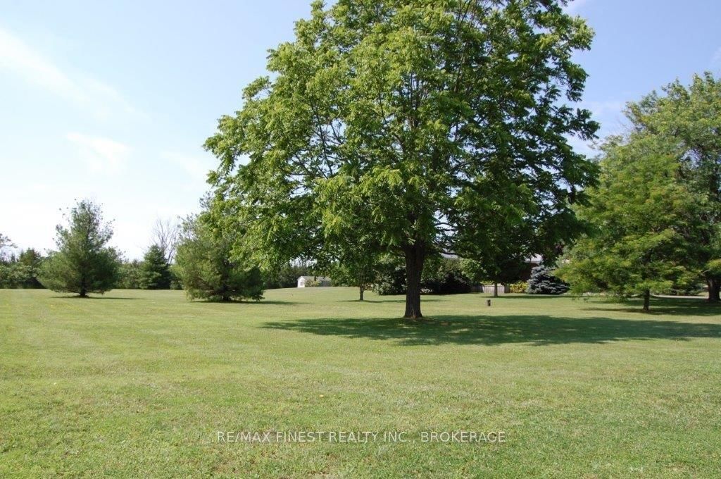 4459 Davidson Road Property Photo 23