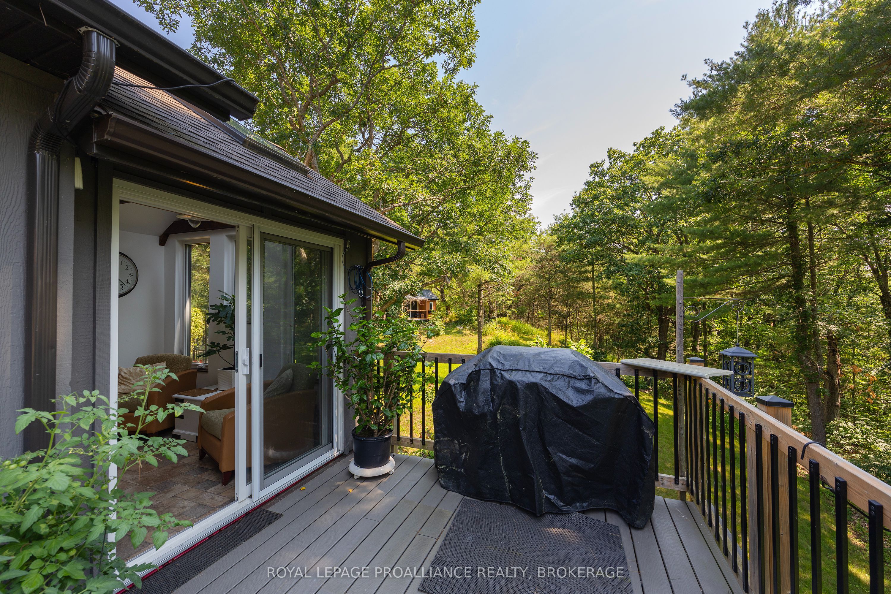 369 Old River Road Property Photo 16
