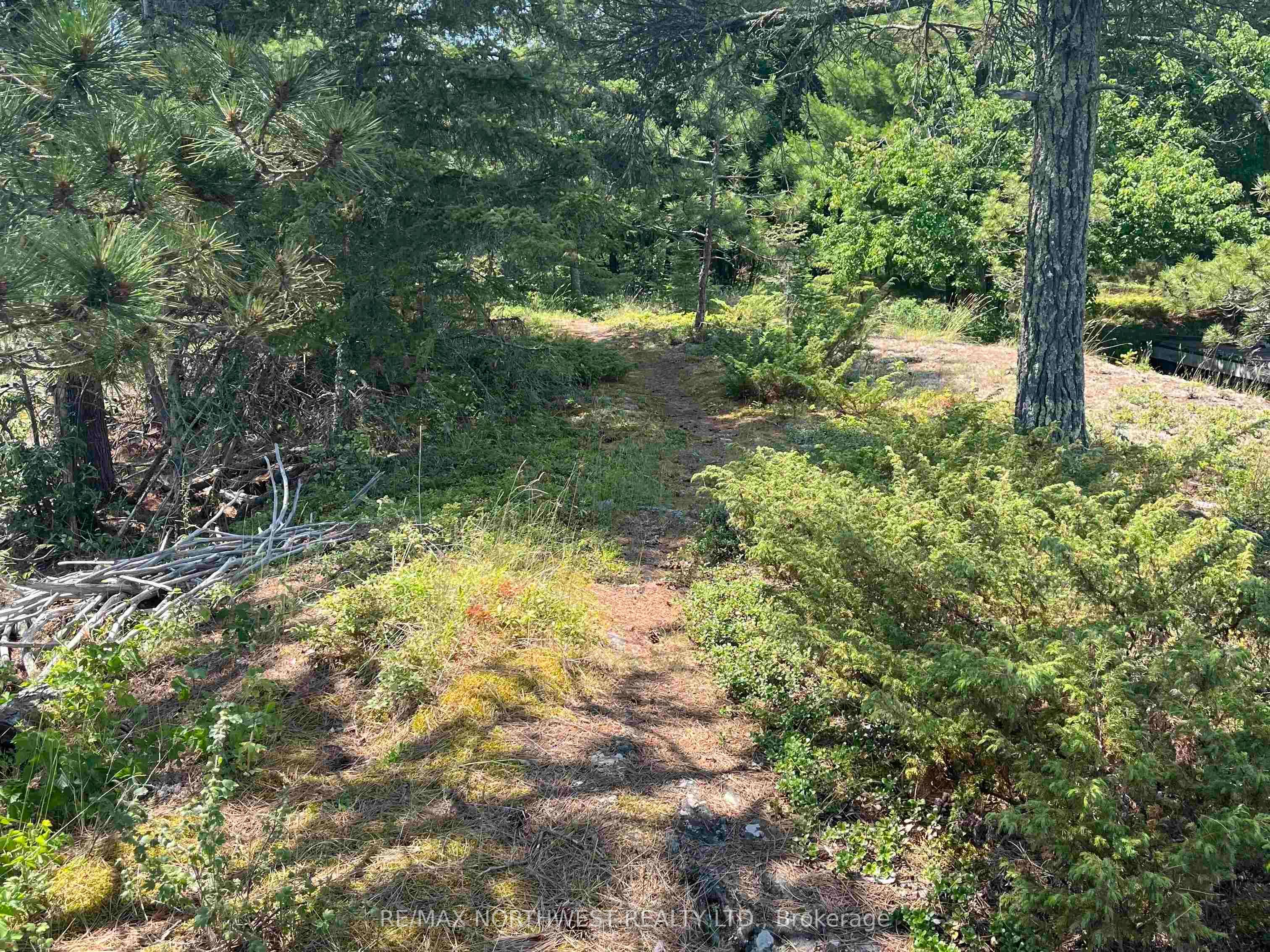1 Red Pine Island Property Photo 32