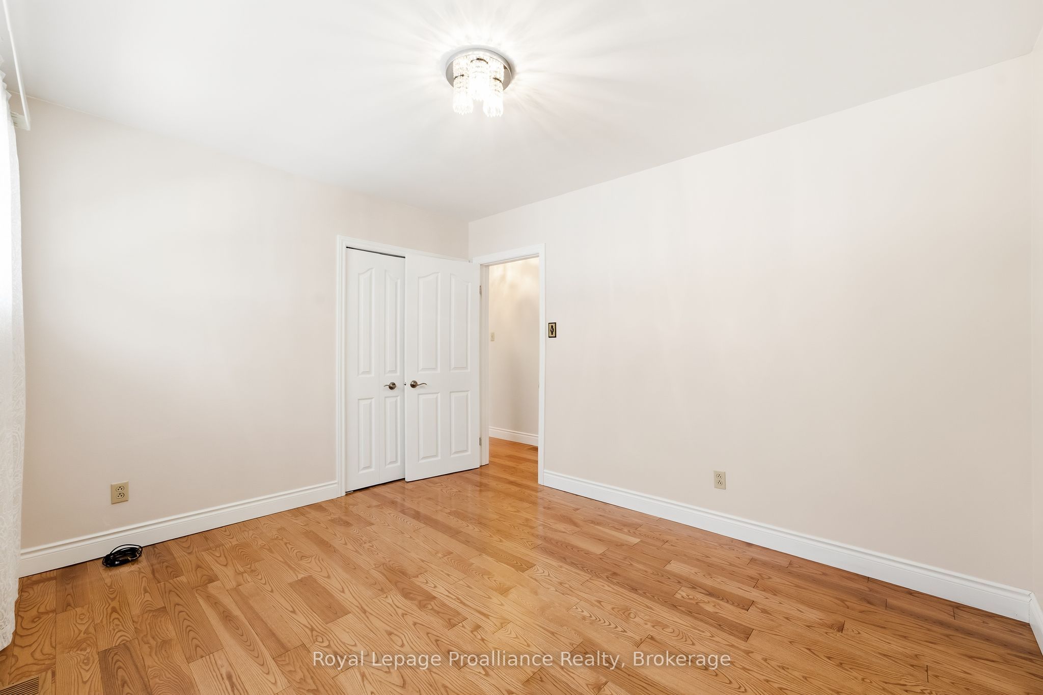 11 Addison Street Property Photo 23