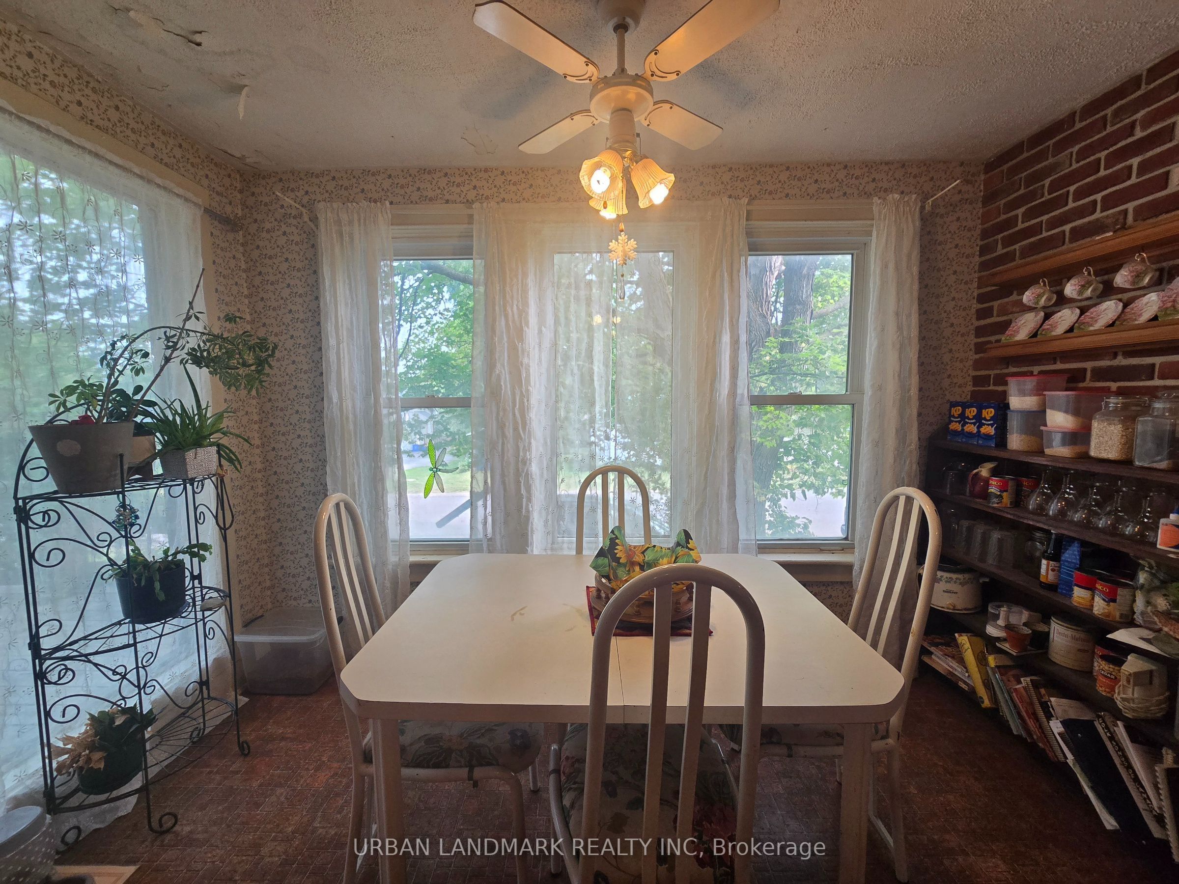 55 Nelson Street Property Photo 17