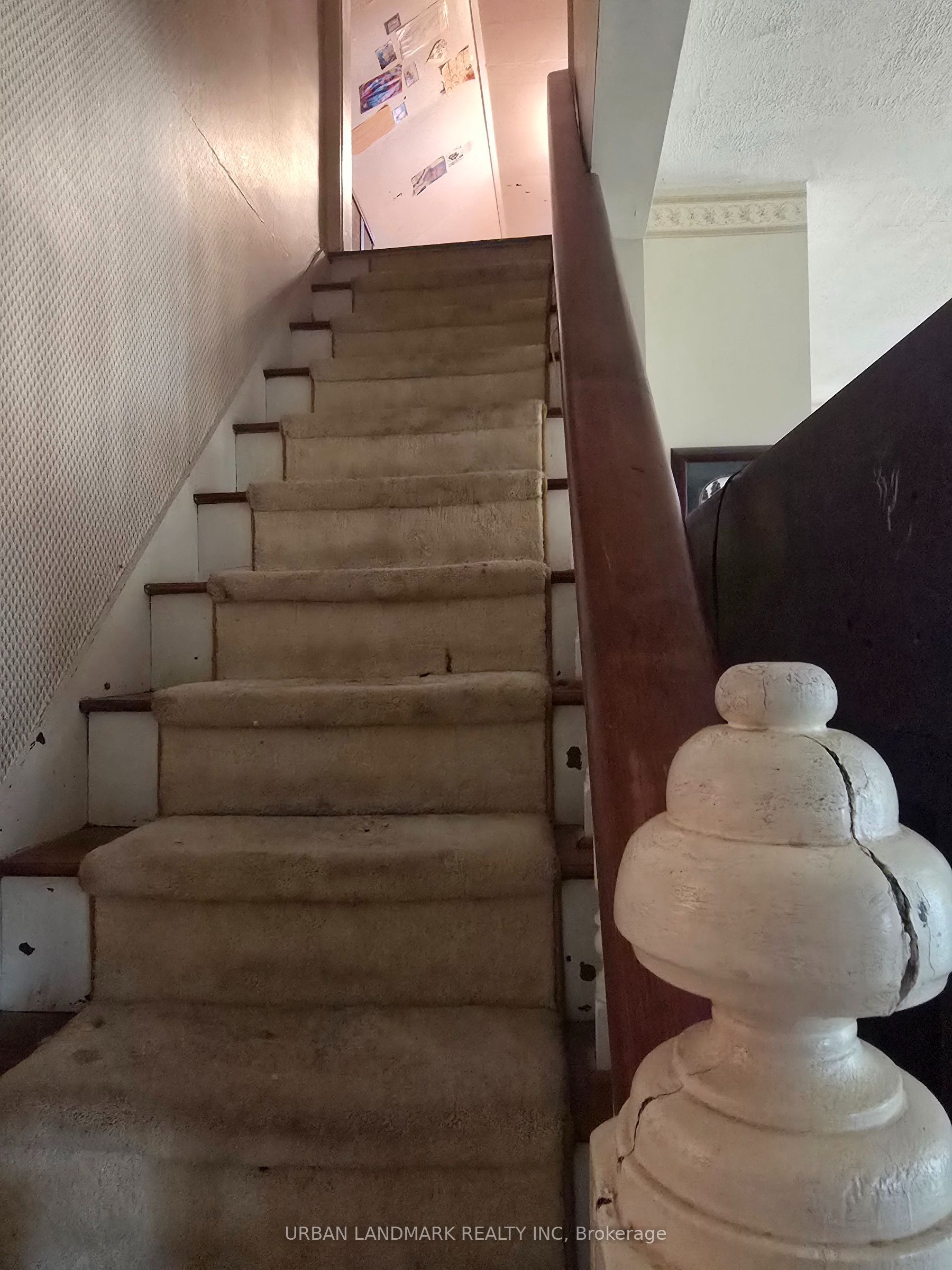 55 Nelson Street Property Photo 38