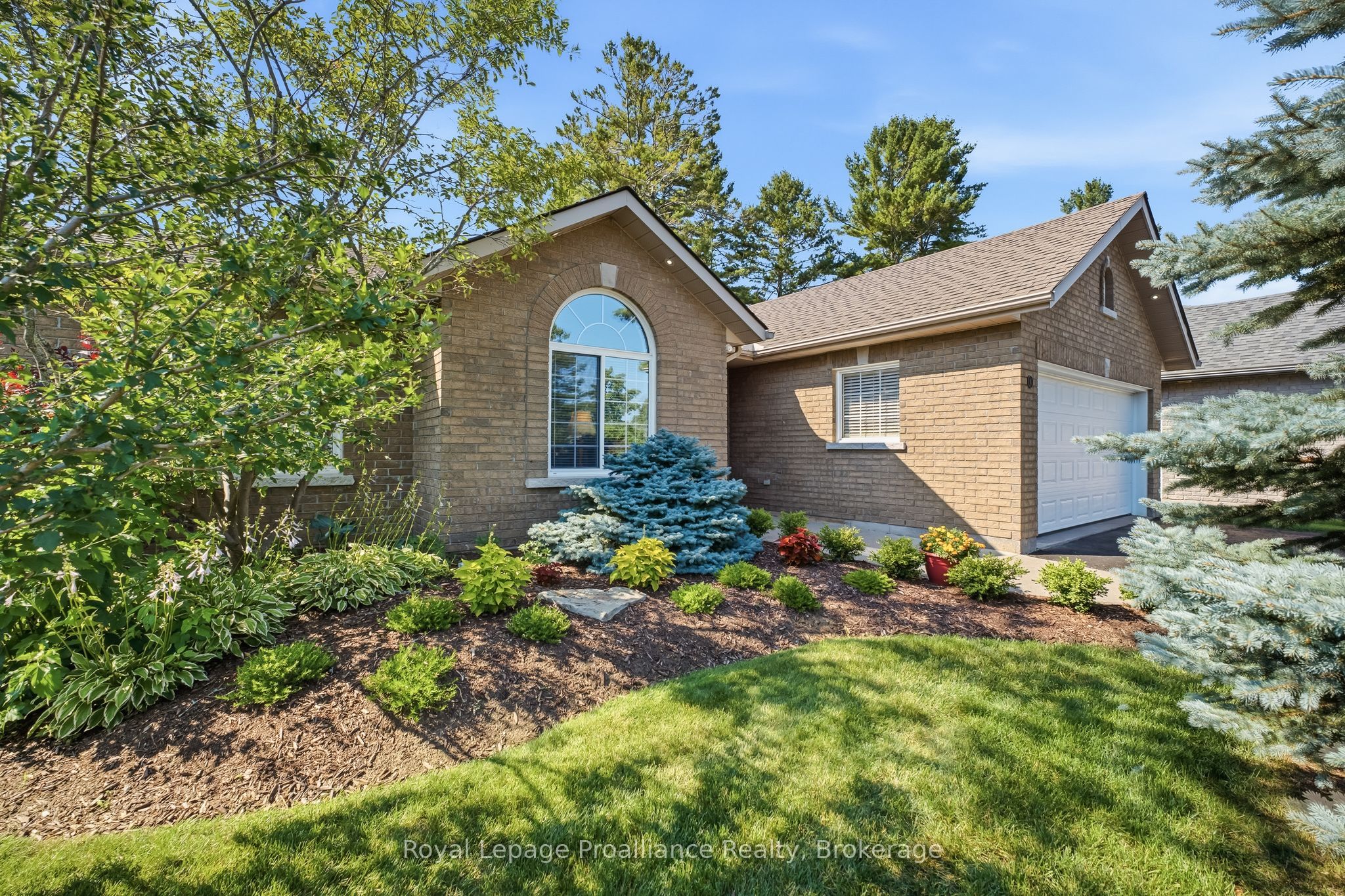 4 Birch Court Property Photo 6