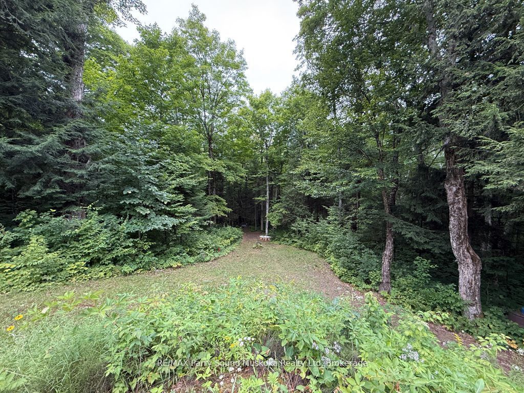 335 Centre Road Property Photo 8
