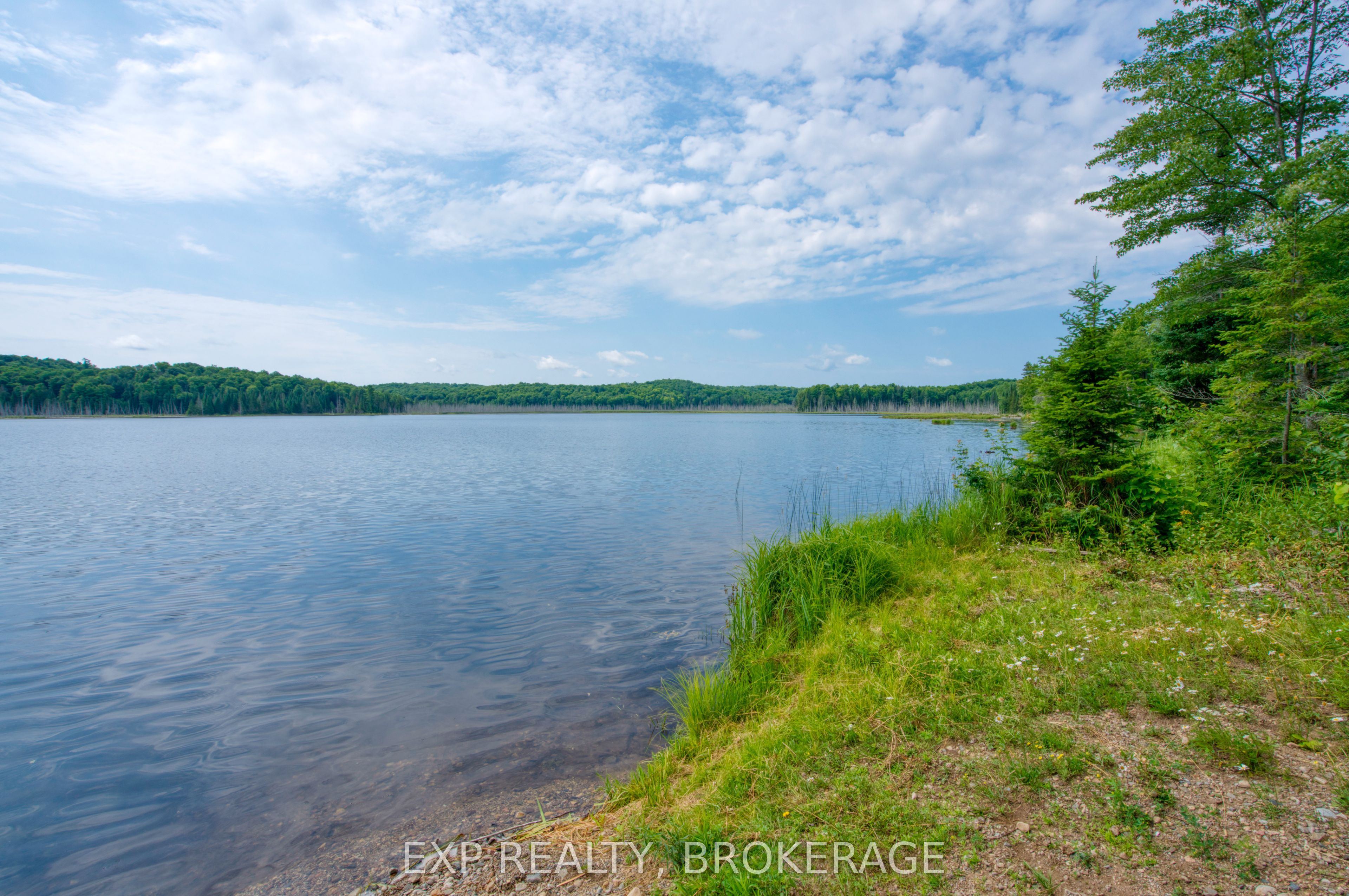 1427 Lewis Road Property Photo 41