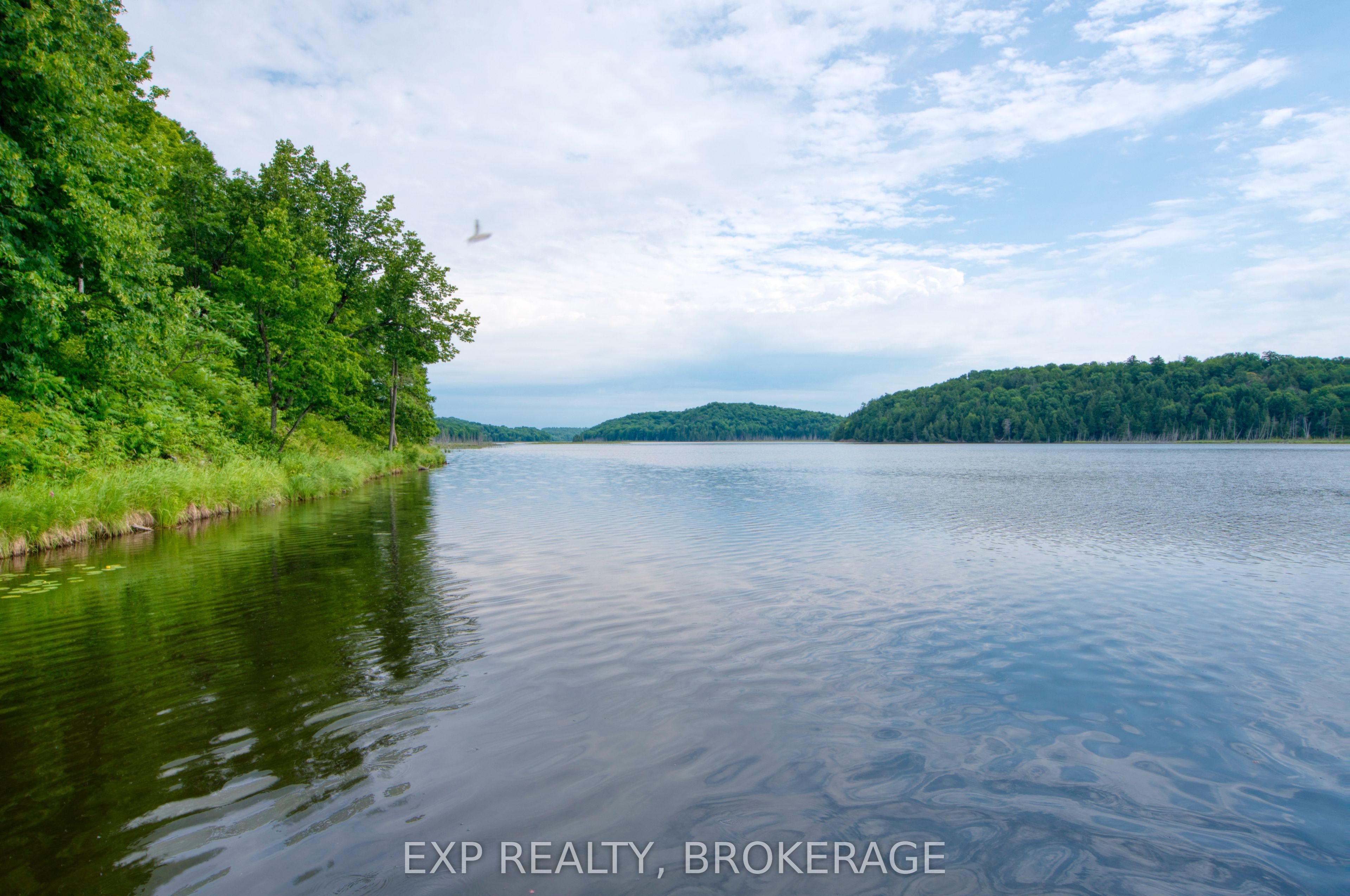 1427 Lewis Road Property Photo 42