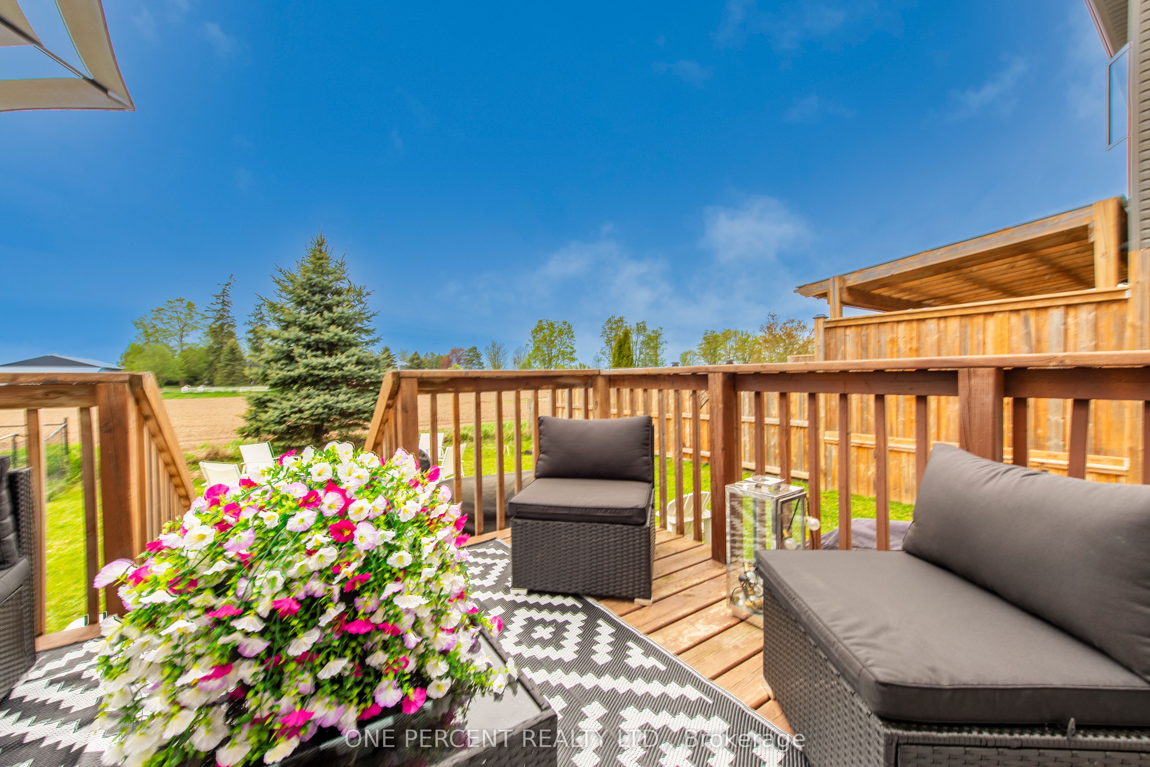 31 Courtney Street Property Photo 31
