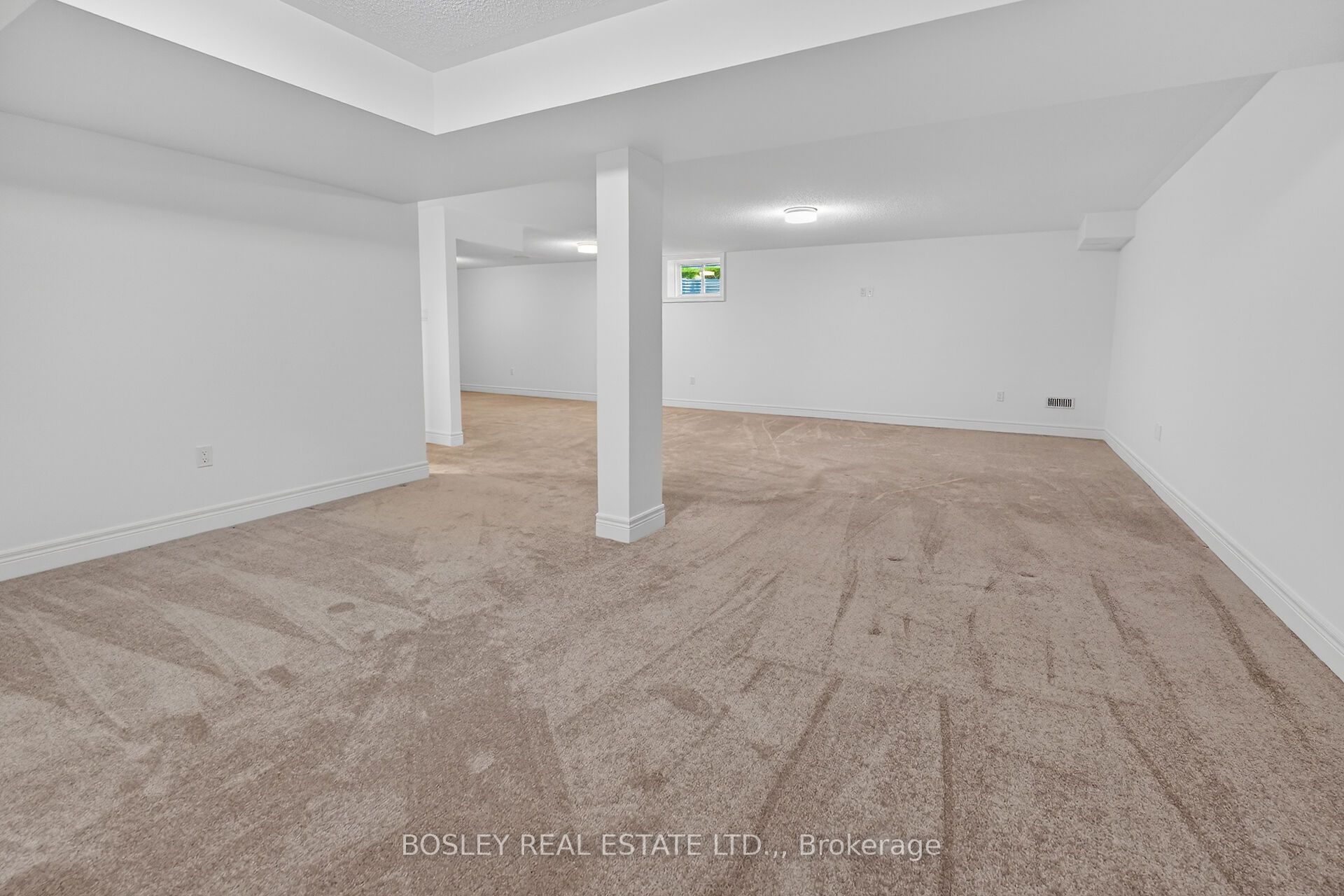 56 Paradise Grove Property Photo 26