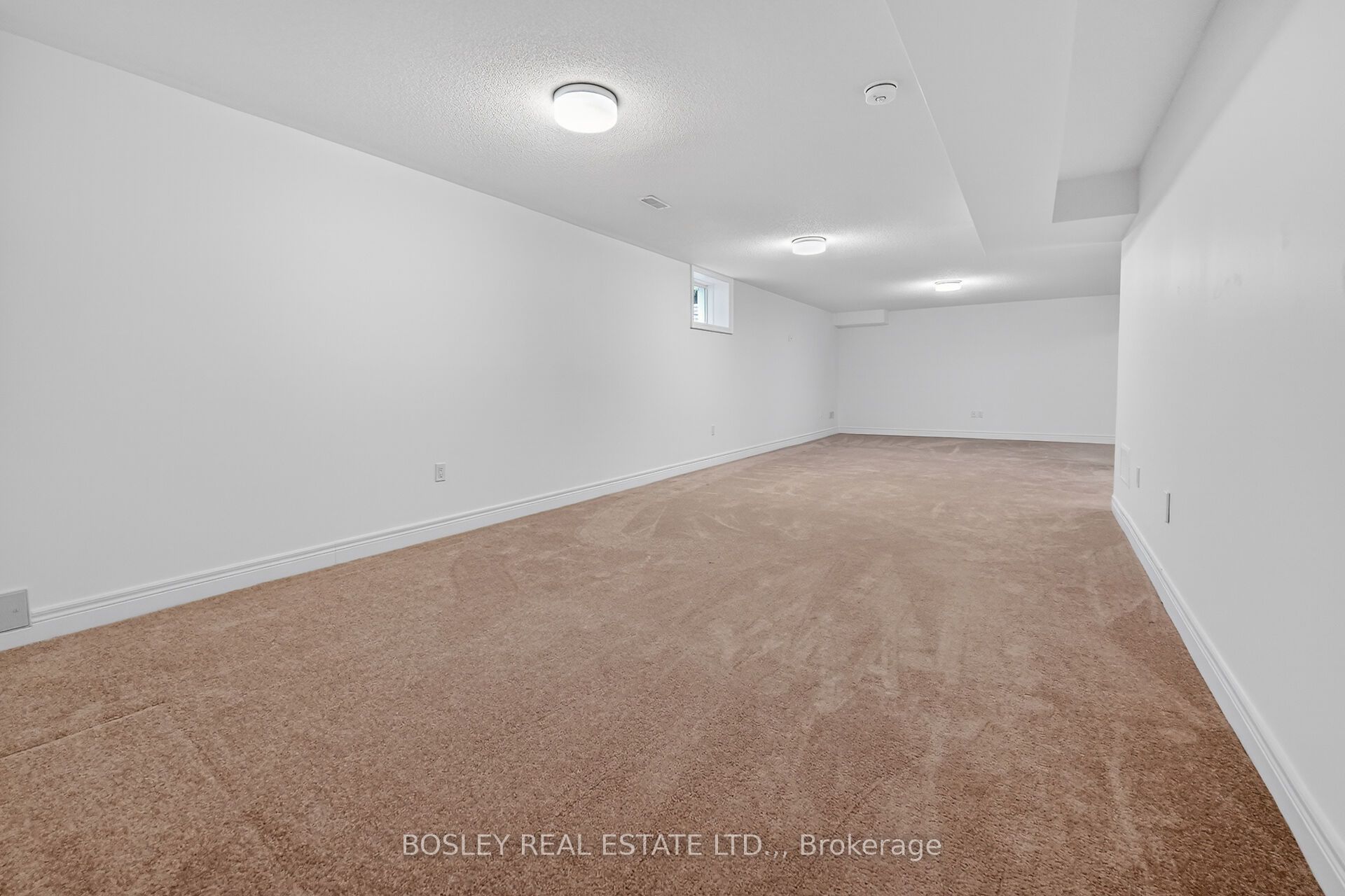 56 Paradise Grove Property Photo 28