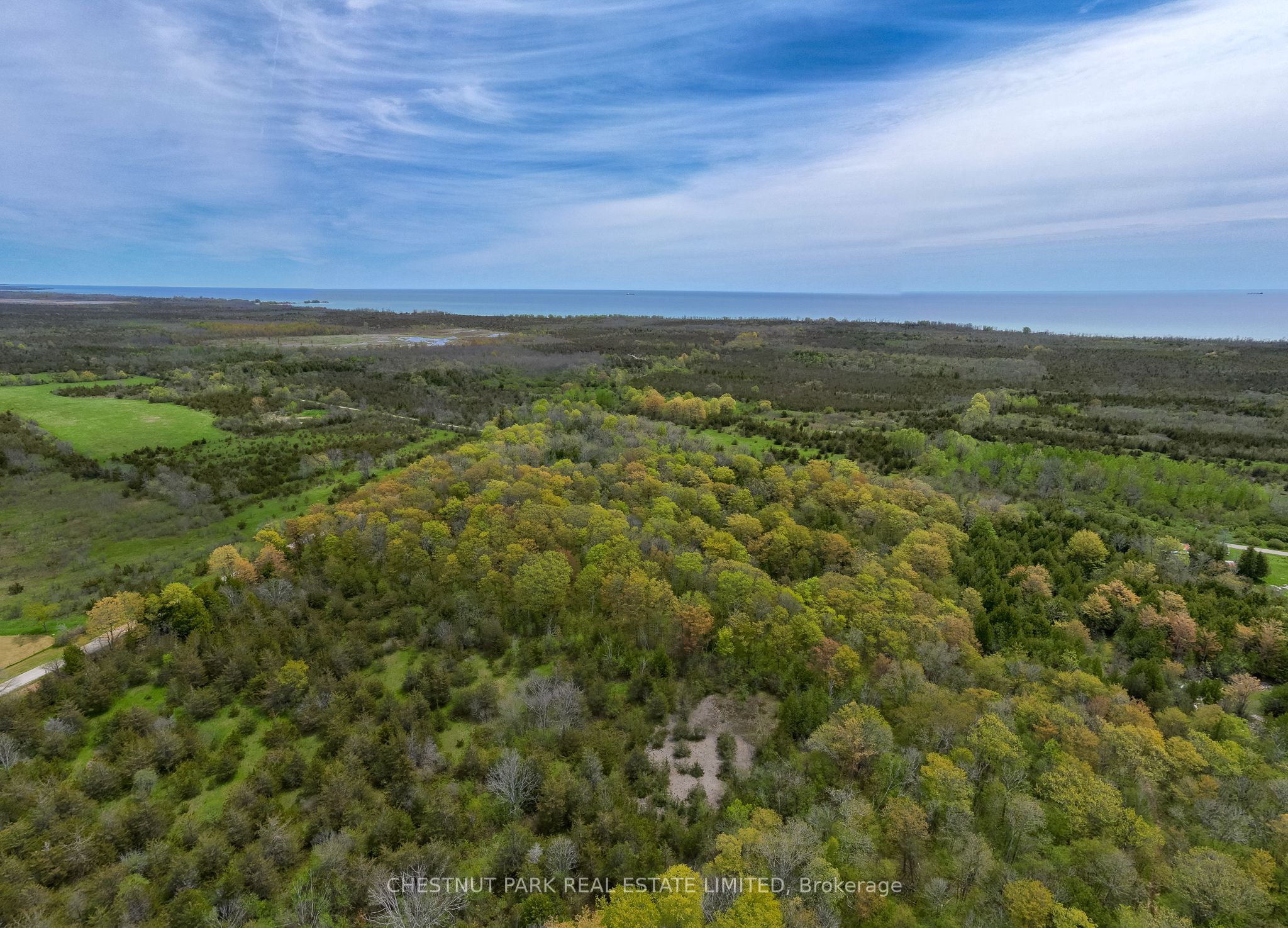 206 Simpson Road Property Photo 6