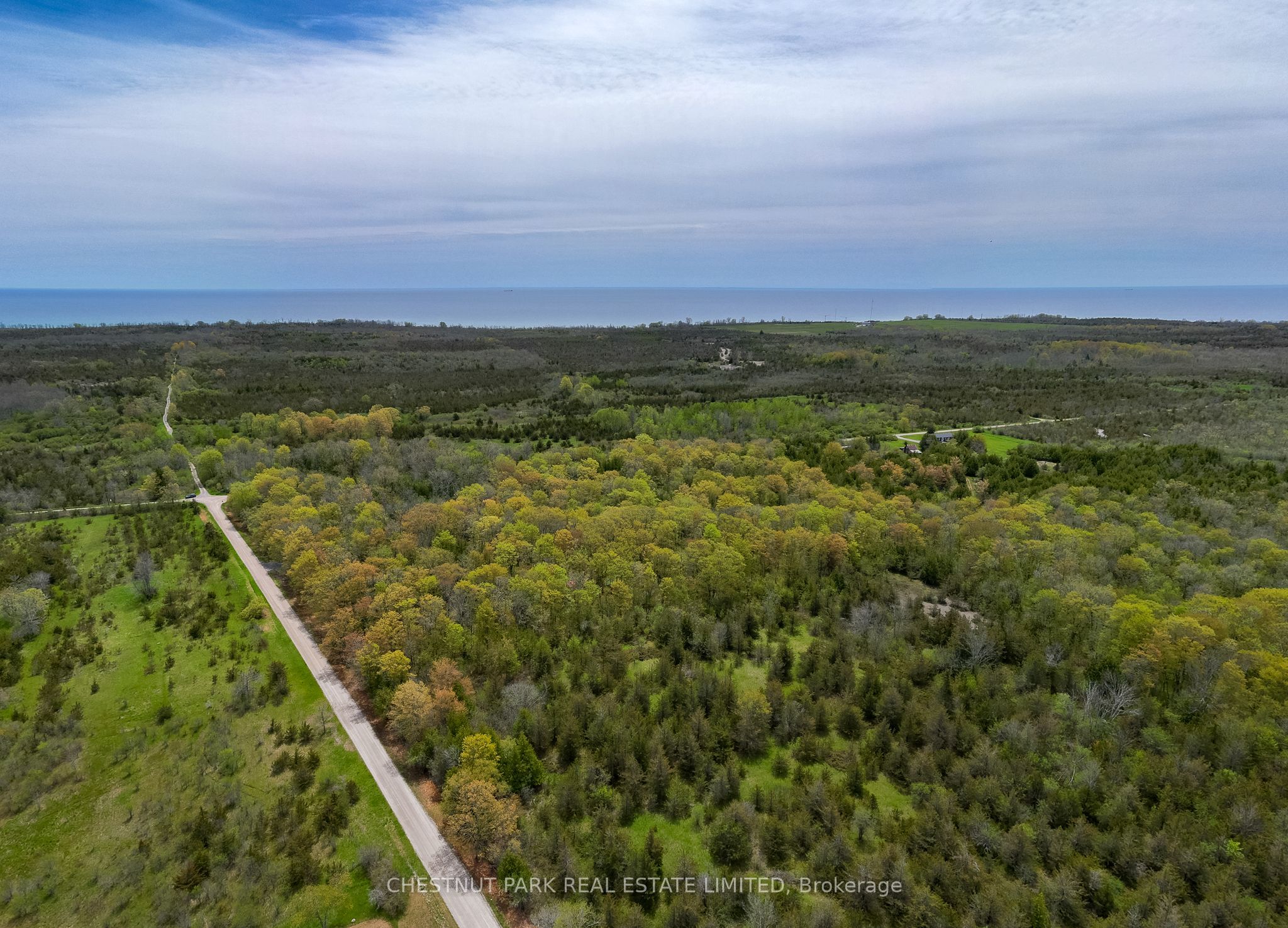 206 Simpson Road Property Photo 8