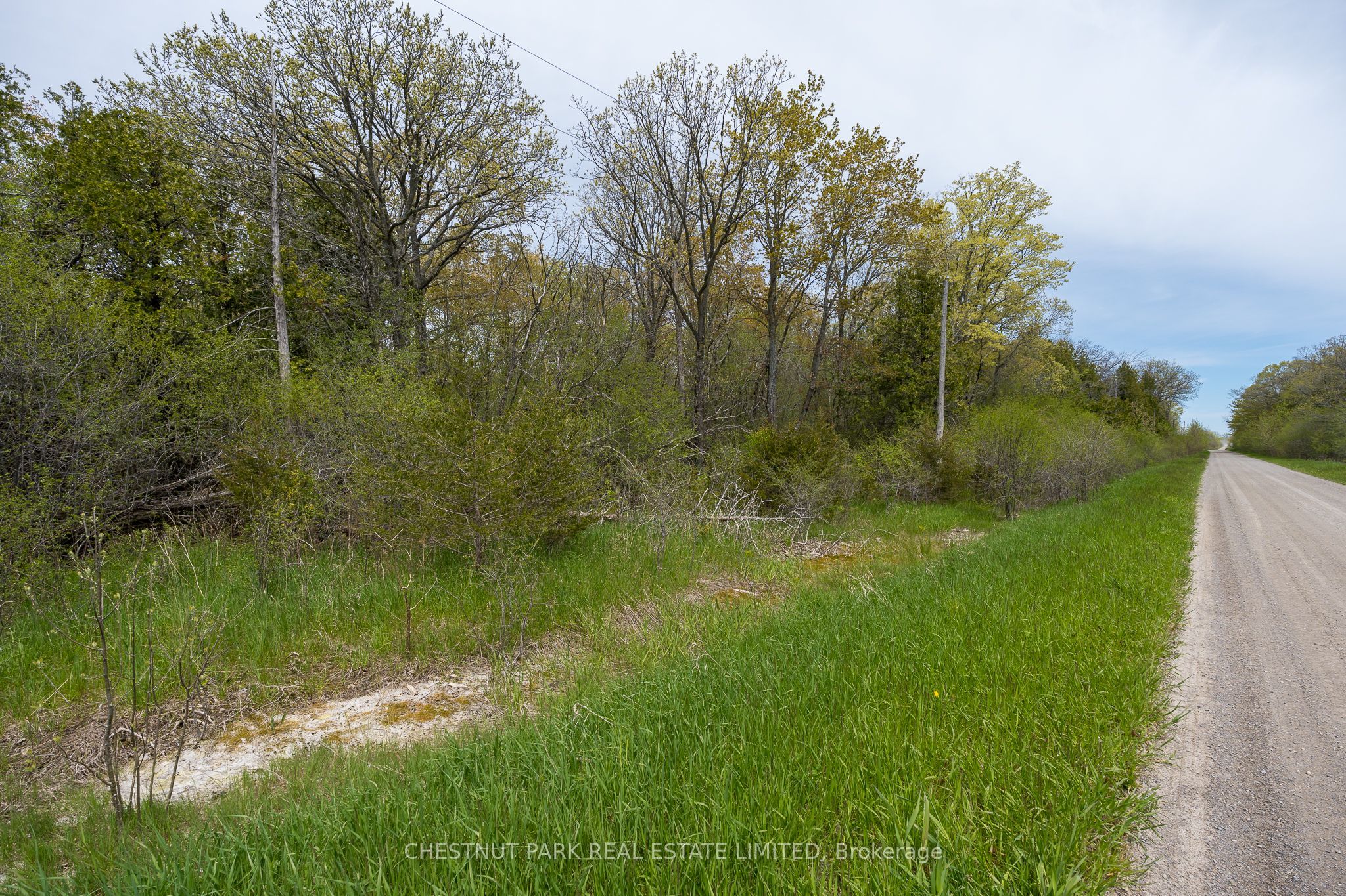 206 Simpson Road Property Photo 10