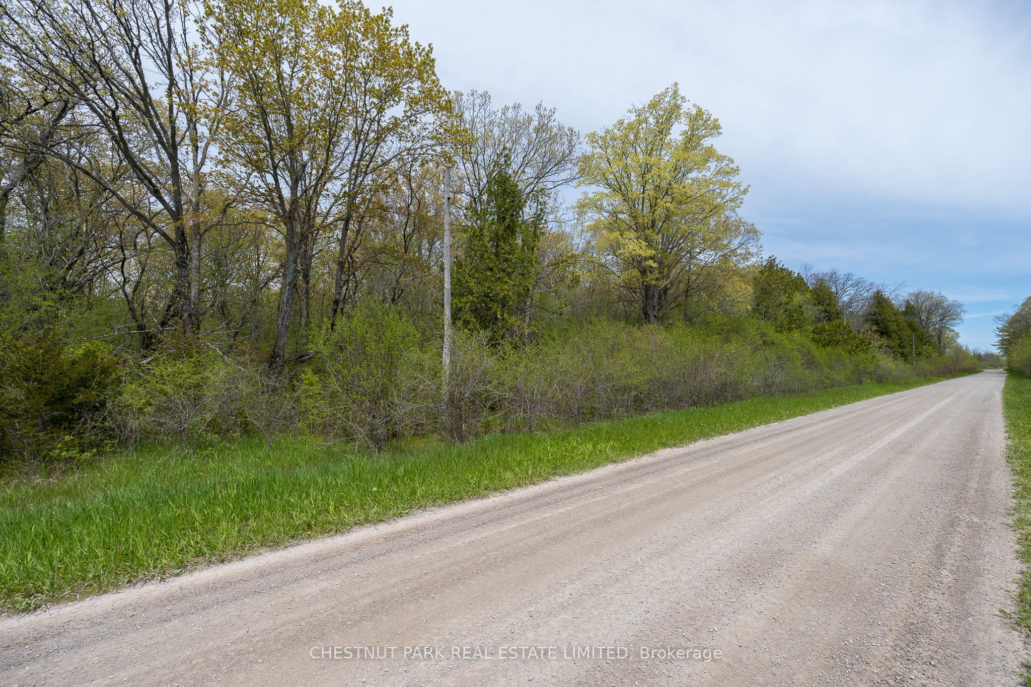 206 Simpson Road Property Photo 11