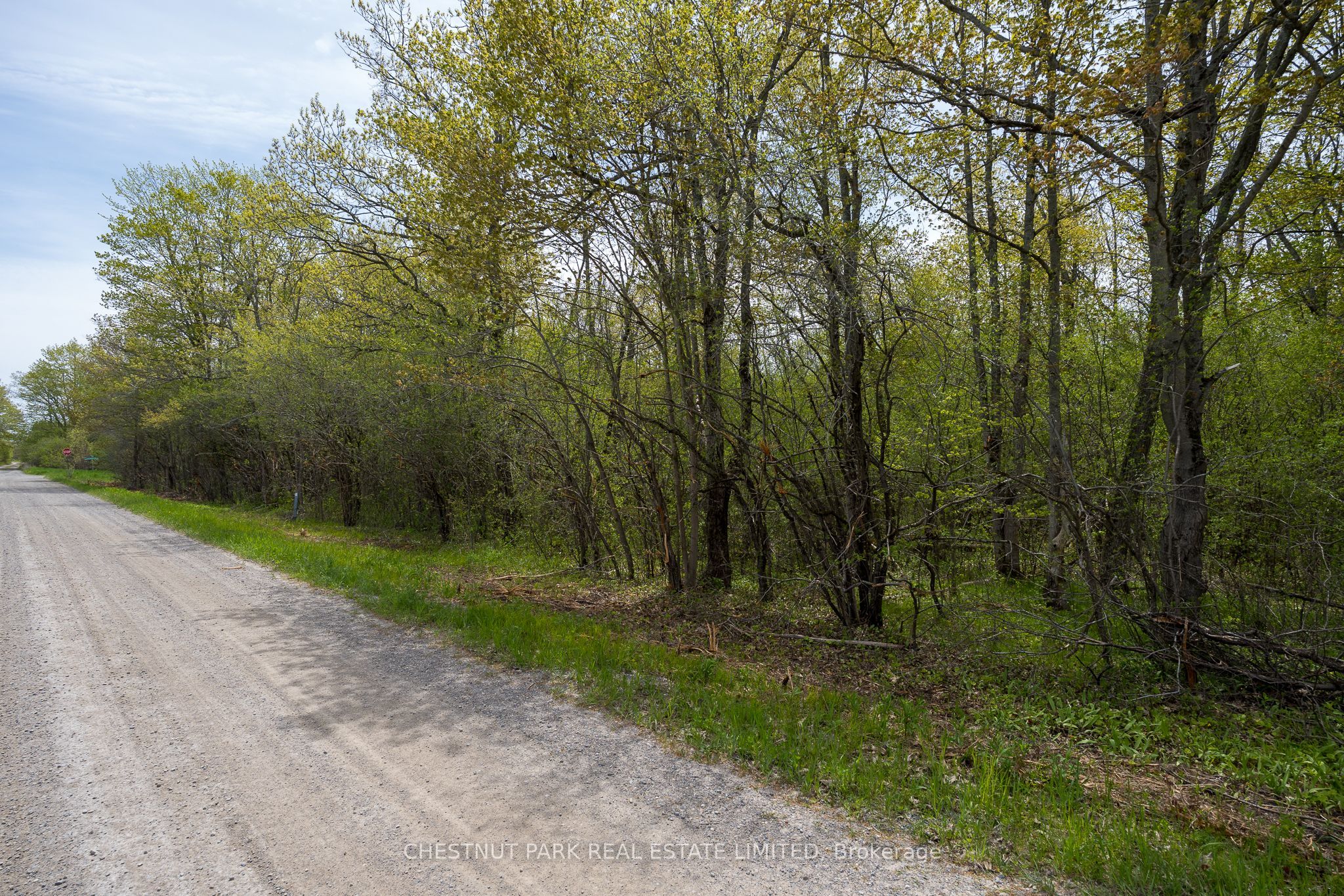 206 Simpson Road Property Photo 13