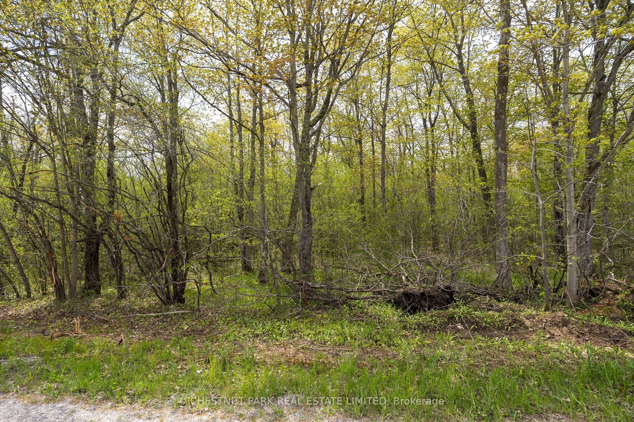 206 Simpson Road Property Photo 14