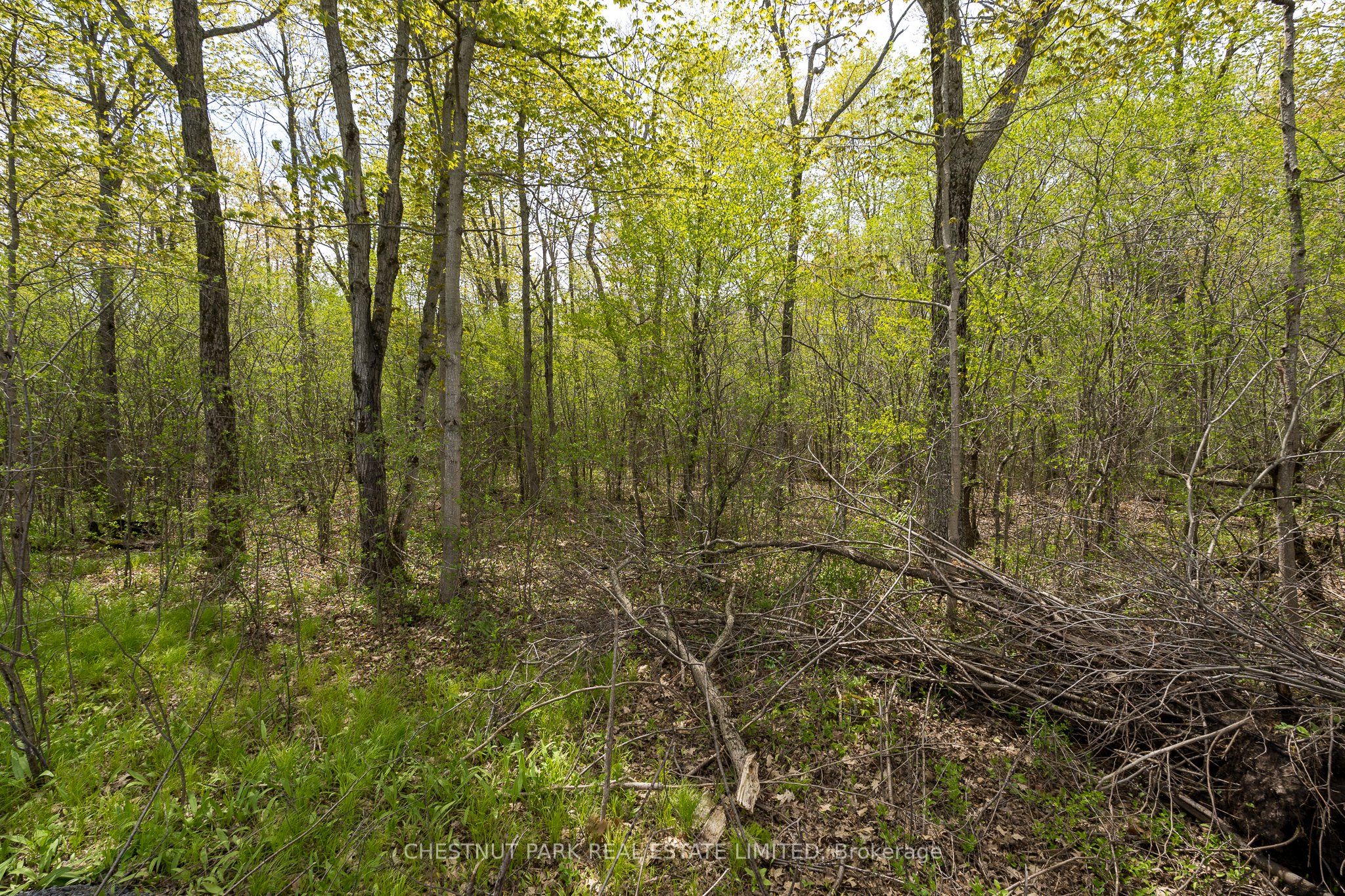 206 Simpson Road Property Photo 17