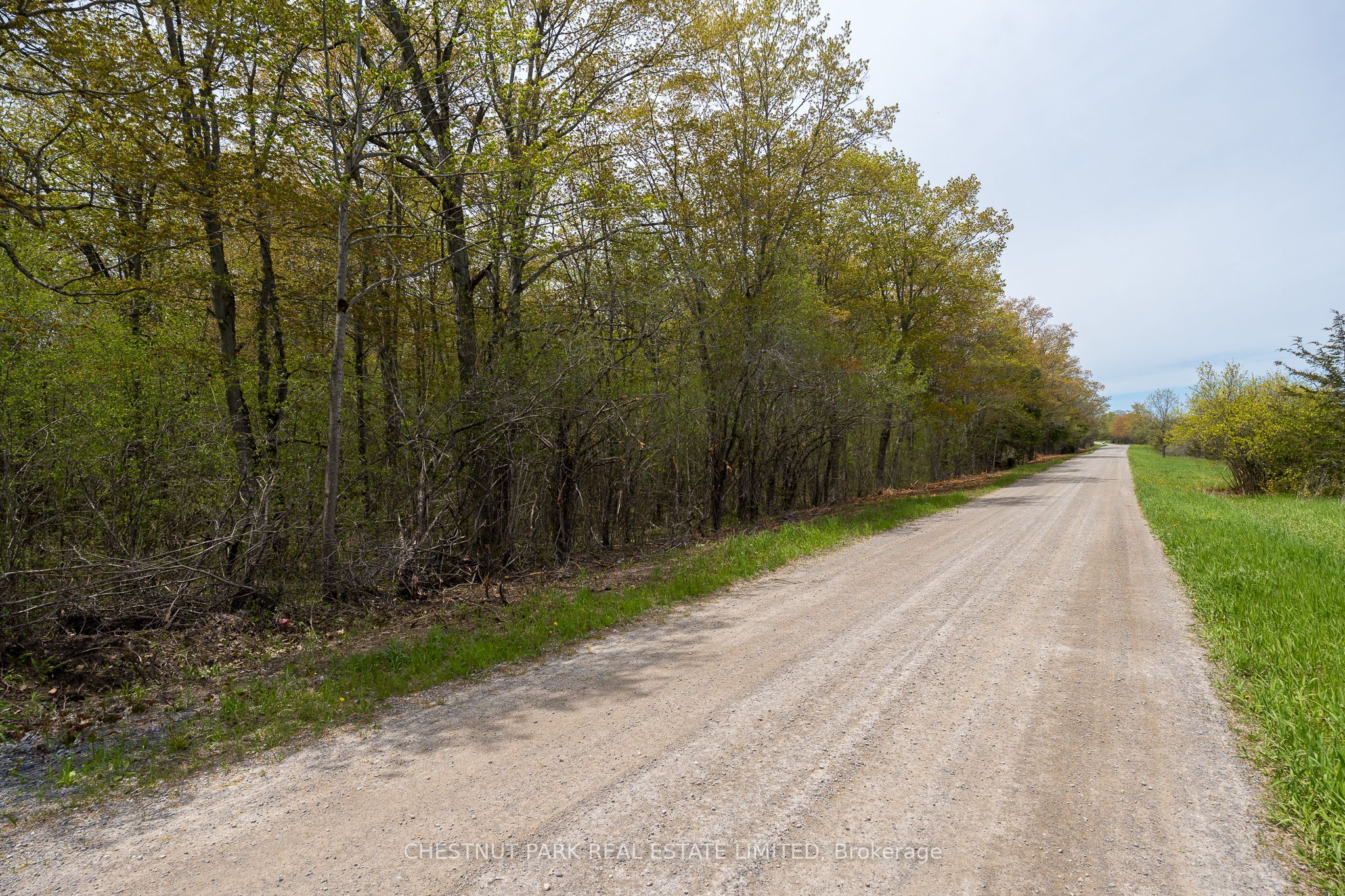 206 Simpson Road Property Photo 18