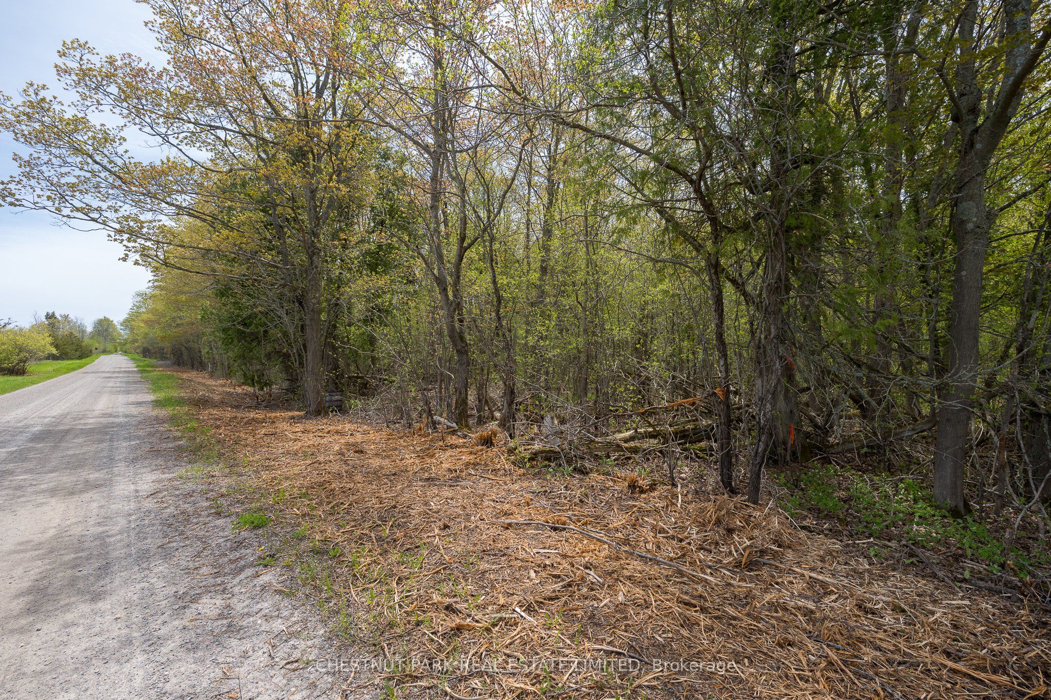 206 Simpson Road Property Photo 19