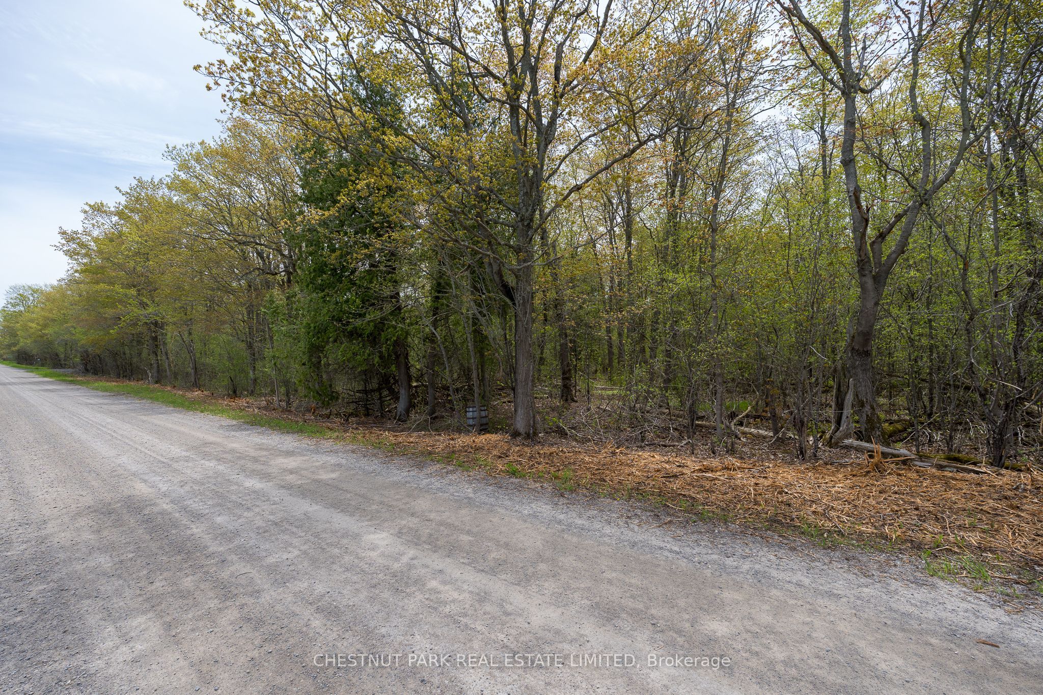 206 Simpson Road Property Photo 22