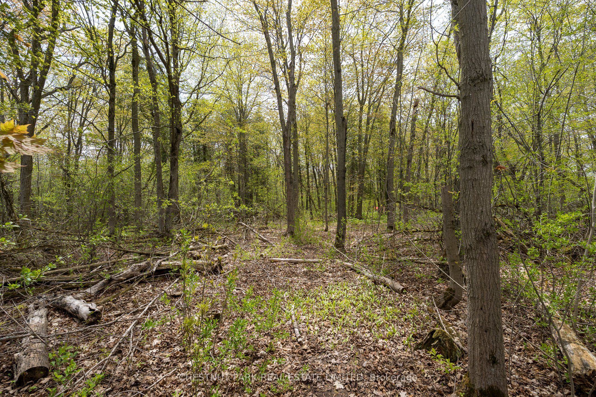 206 Simpson Road Property Photo 23