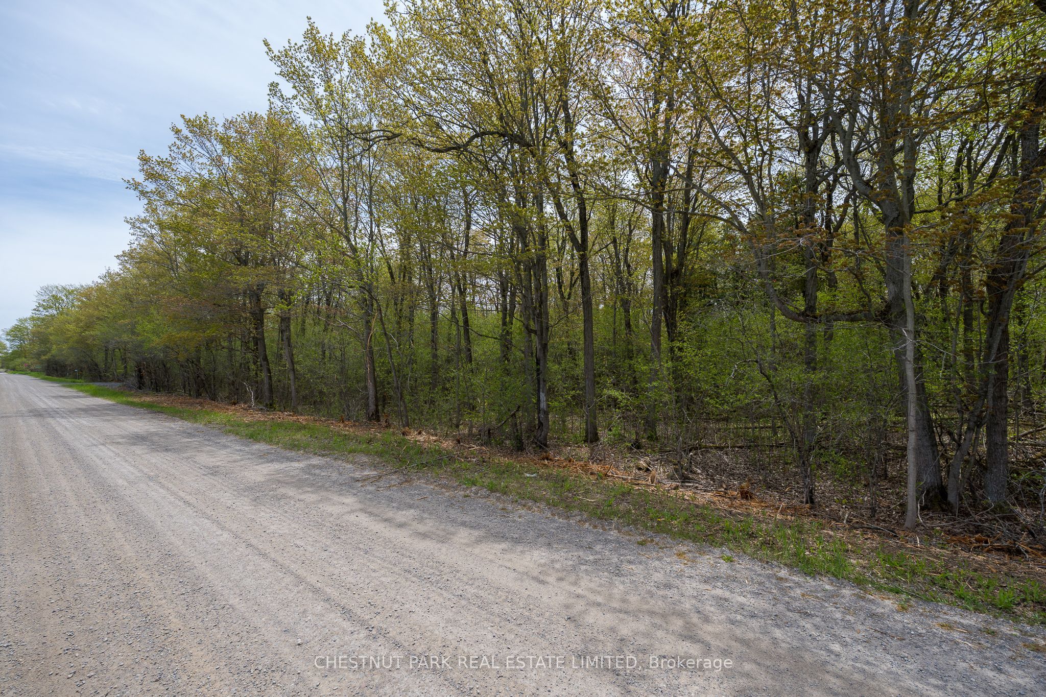 206 Simpson Road Property Photo 24