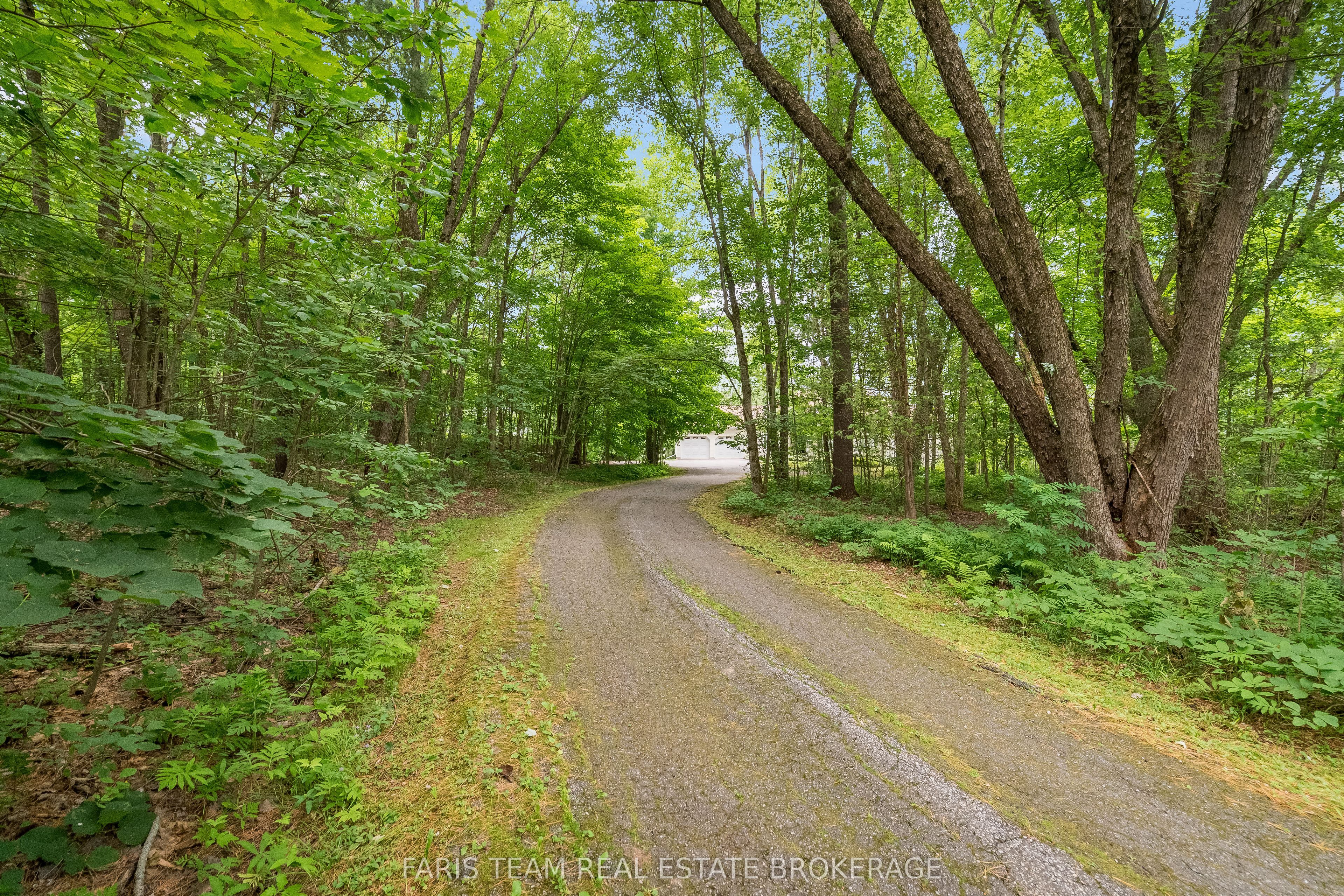 1037 Rockcastle Road Property Photo 3