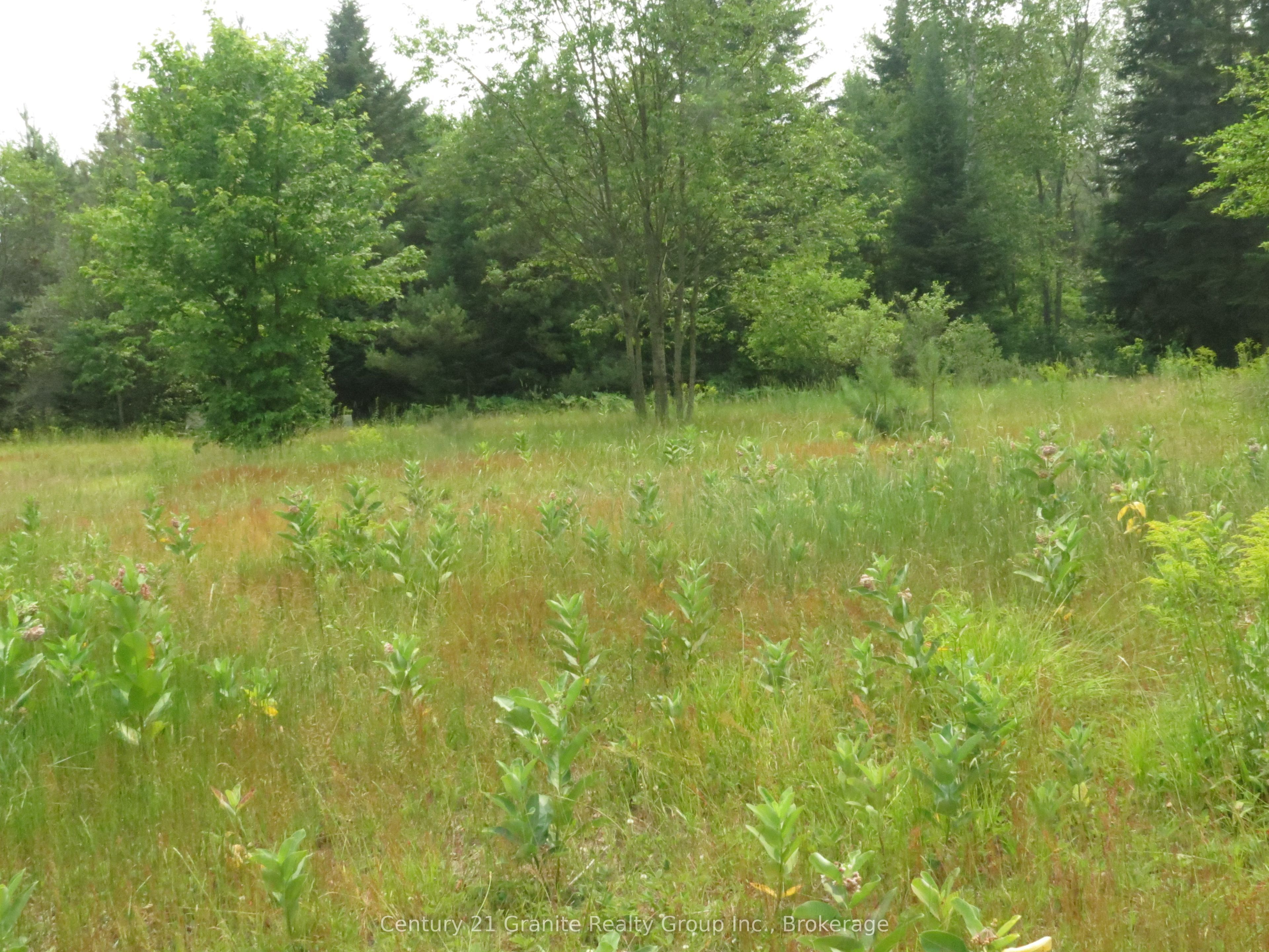 1060 Buttercup Drive Property Photo 11
