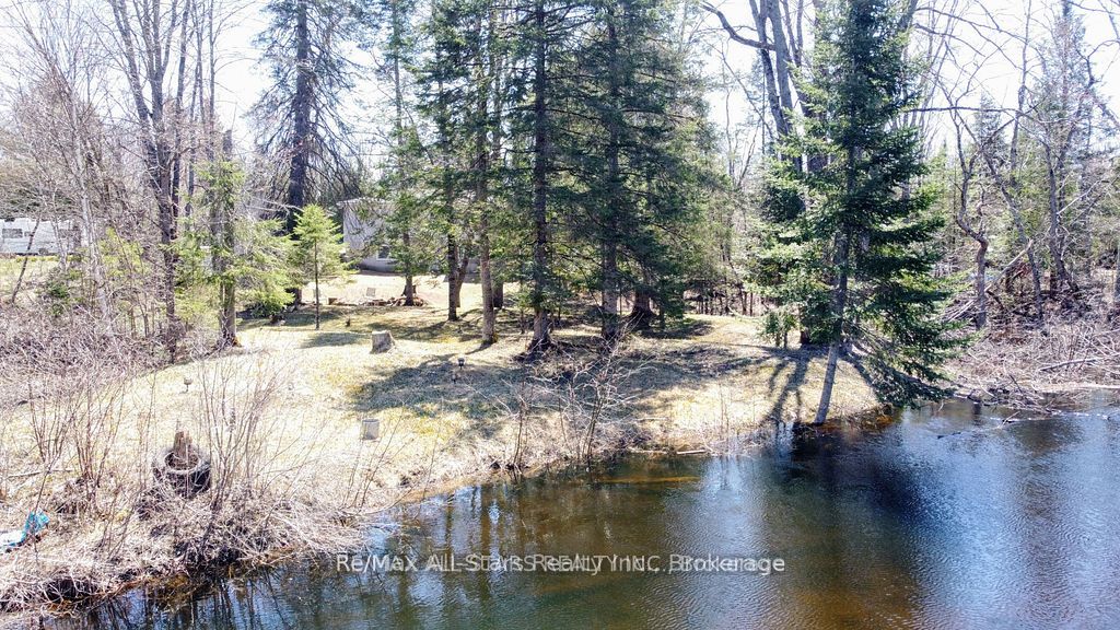 161 Mcfadden Road Property Photo 17