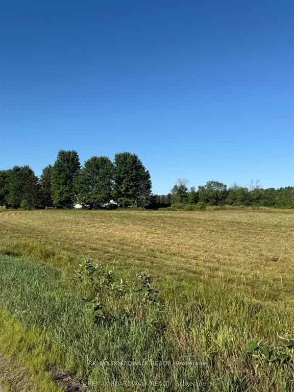 9284 Branch Road Property Photo 6