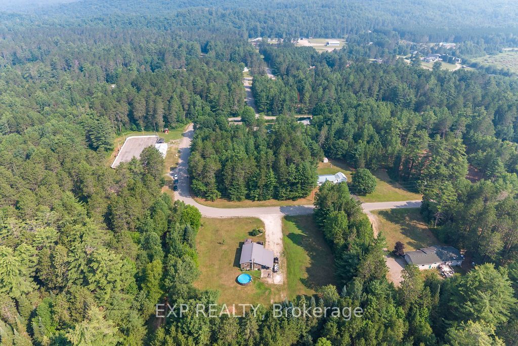 557 Pine Street Property Photo 7