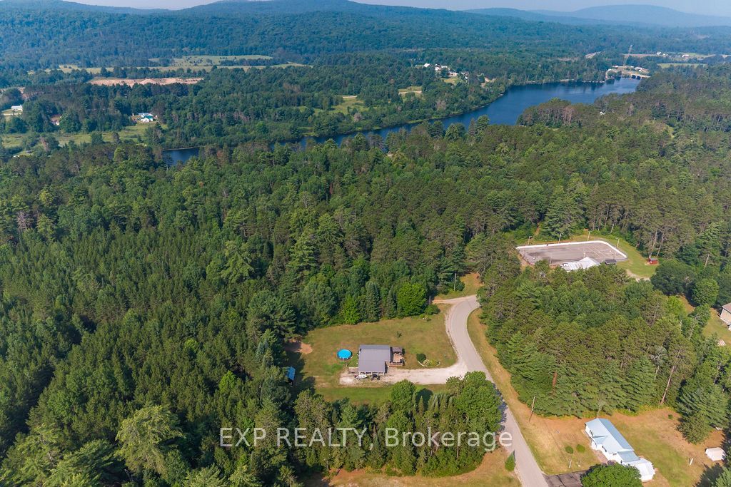 557 Pine Street Property Photo 8