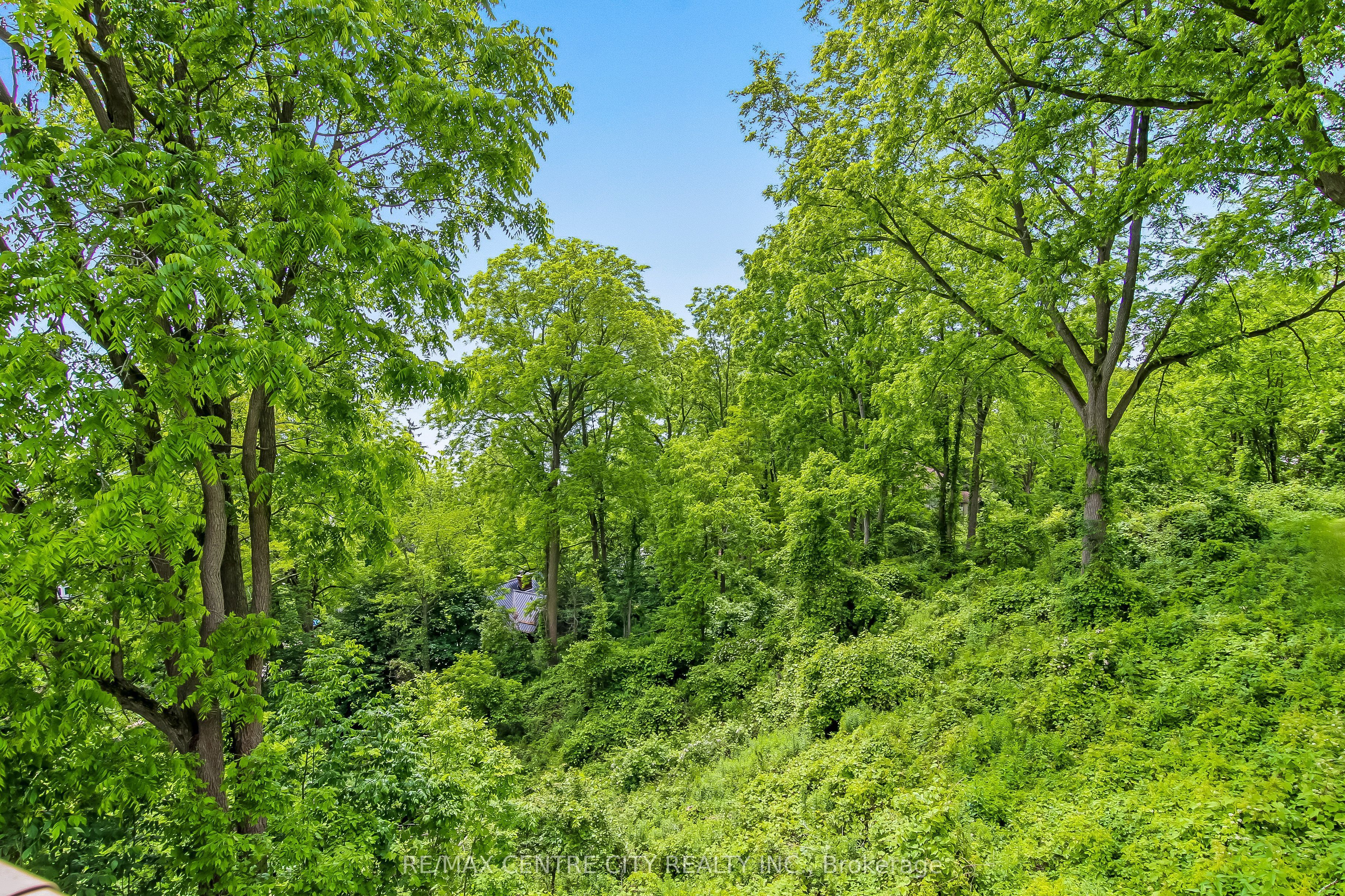 136 Brayside Street Property Photo 29