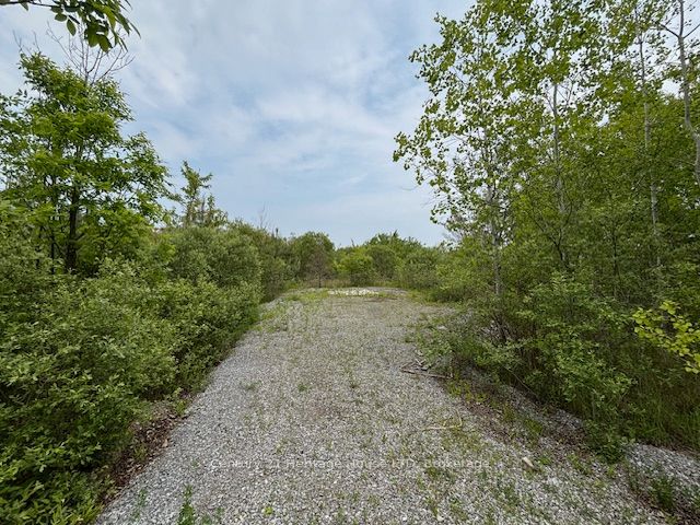 655 Pleasant Beach Road Property Photo 9