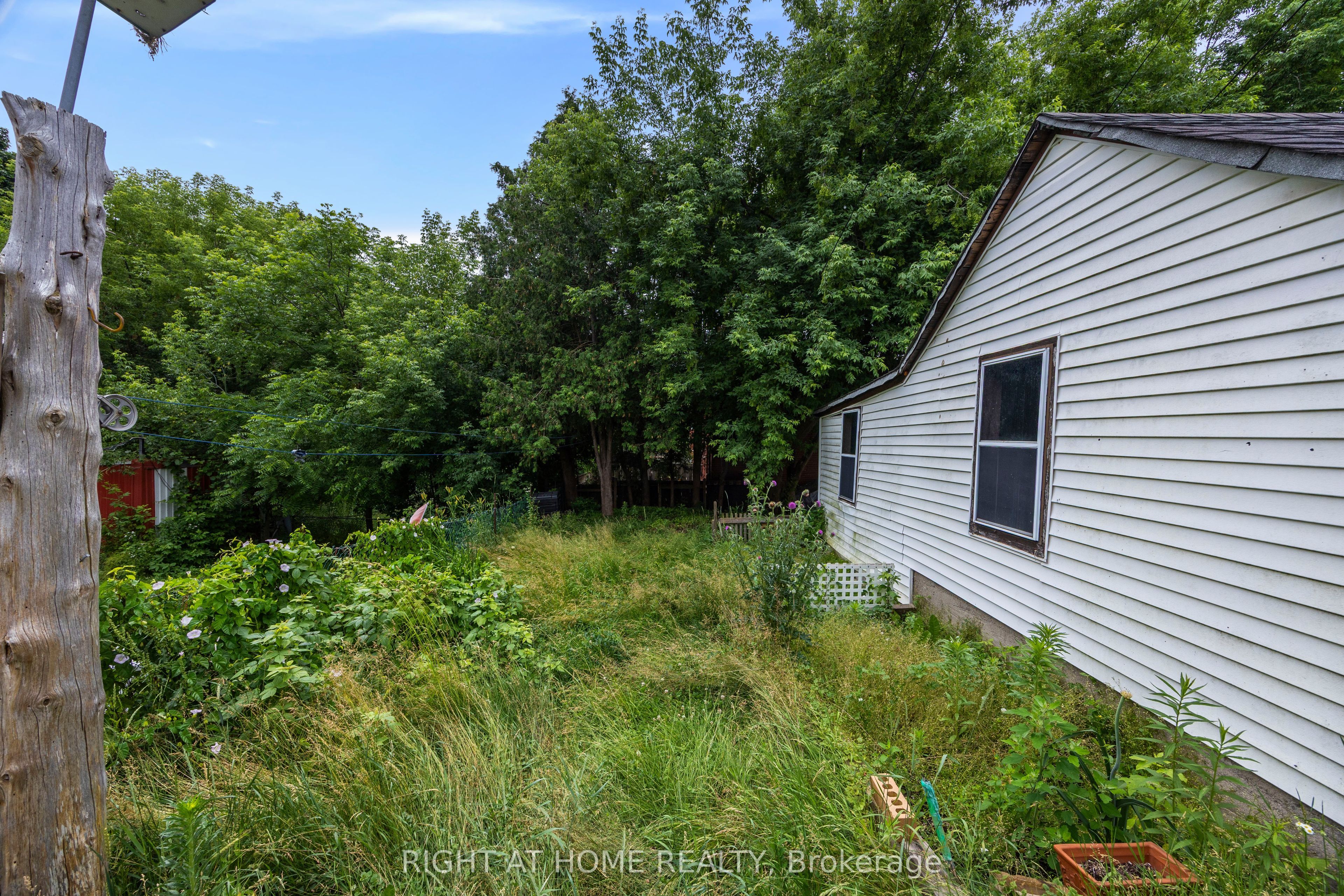 221 Samuelson Street Property Photo 37