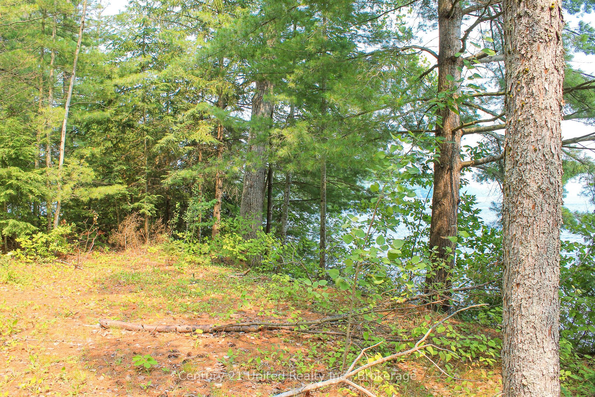 47 Mckee Avenue Property Photo 6