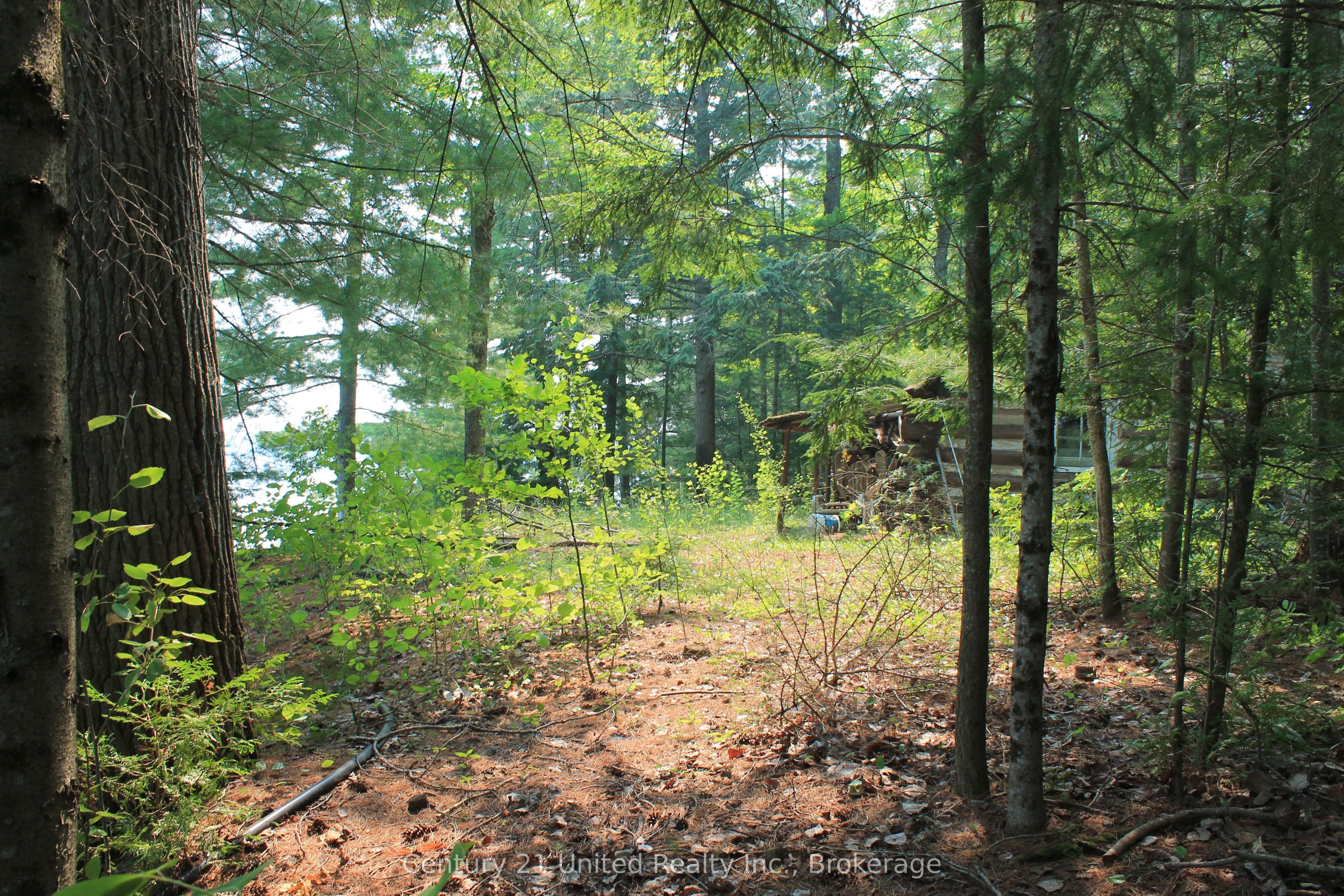 47 Mckee Avenue Property Photo 9