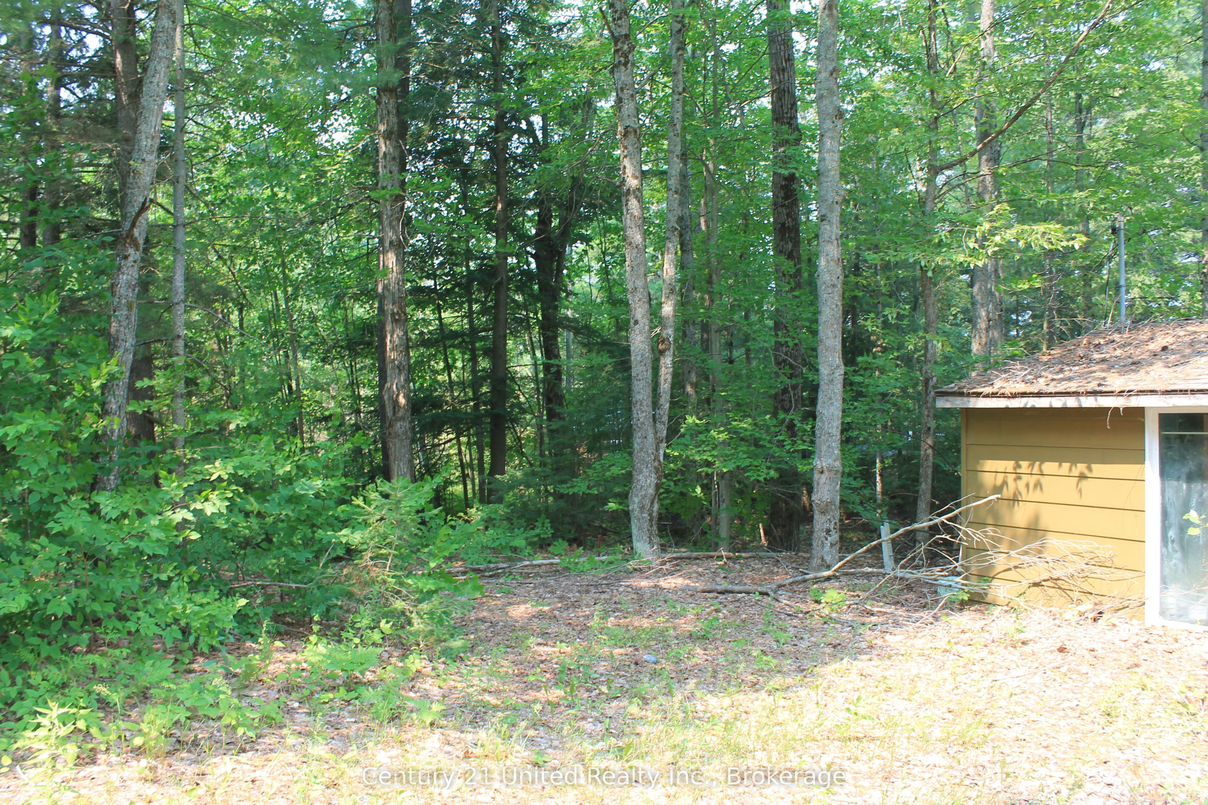 47 Mckee Avenue Property Photo 10