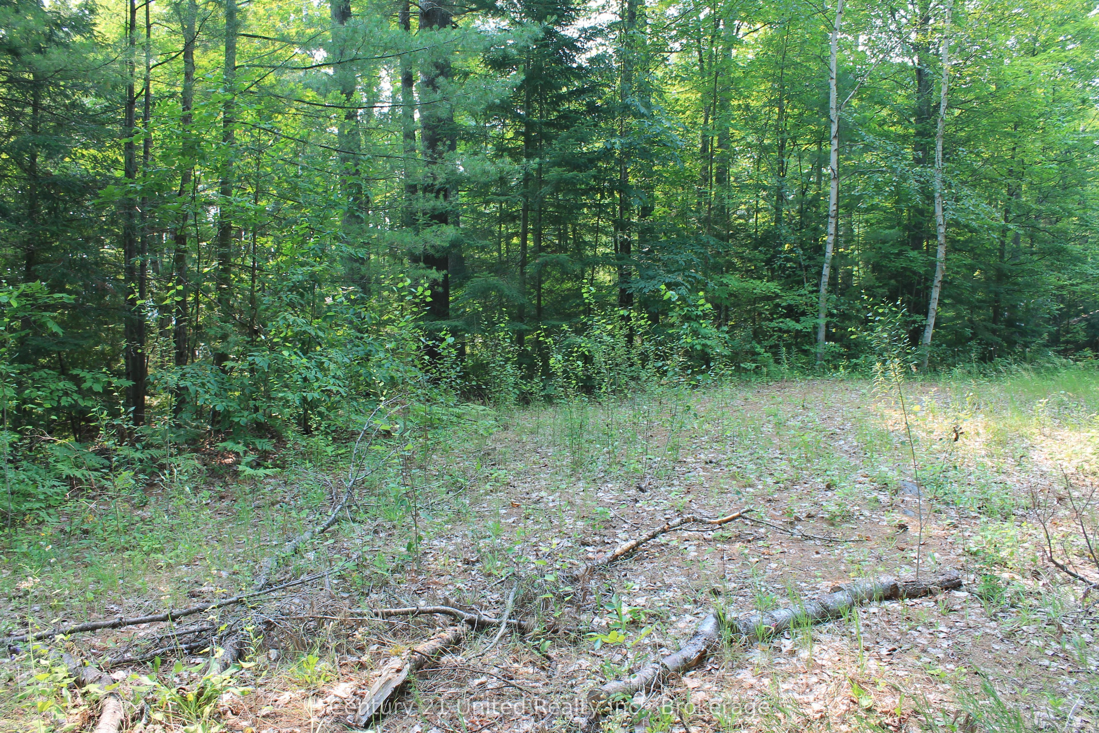 47 Mckee Avenue Property Photo 19