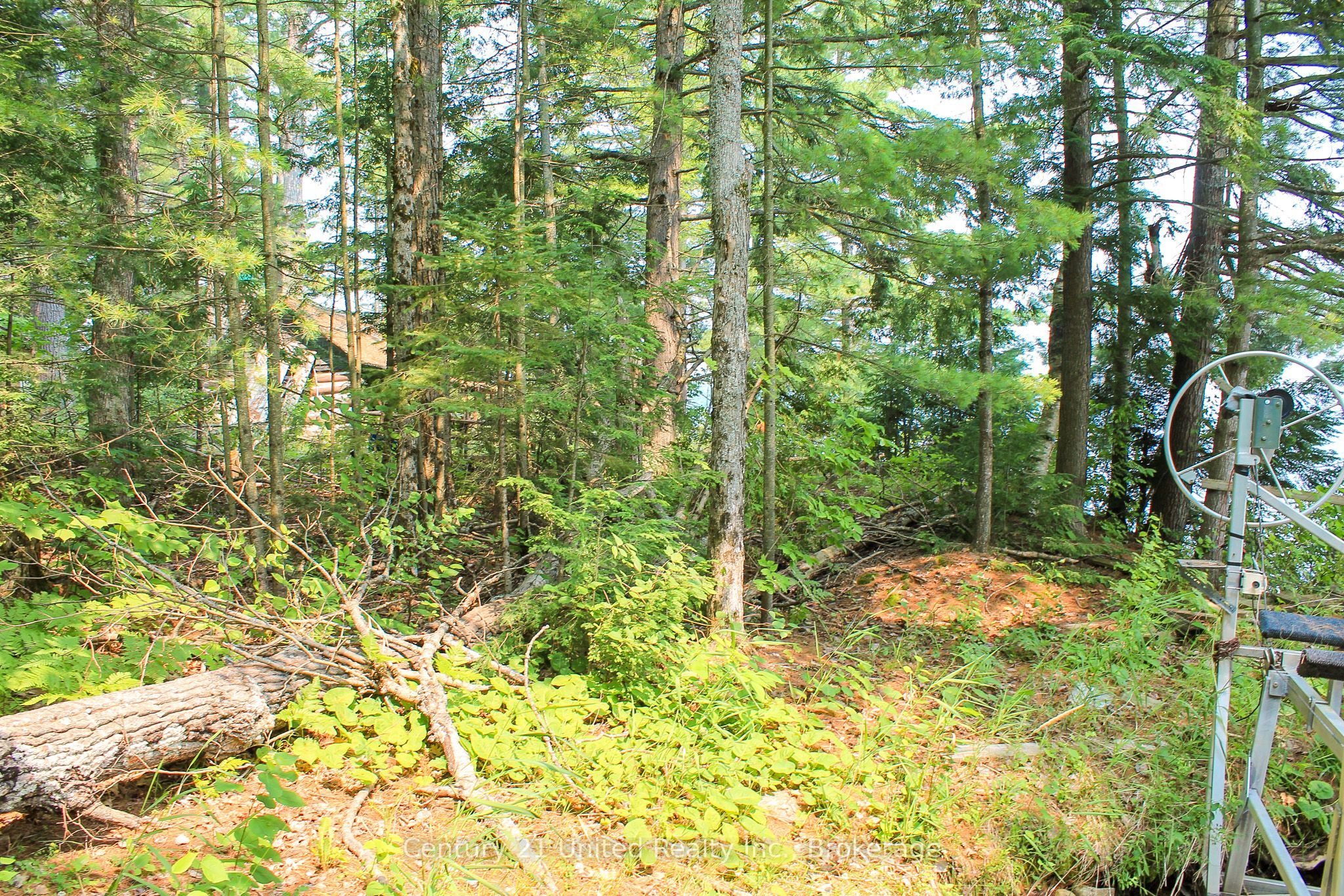 47 Mckee Avenue Property Photo 20