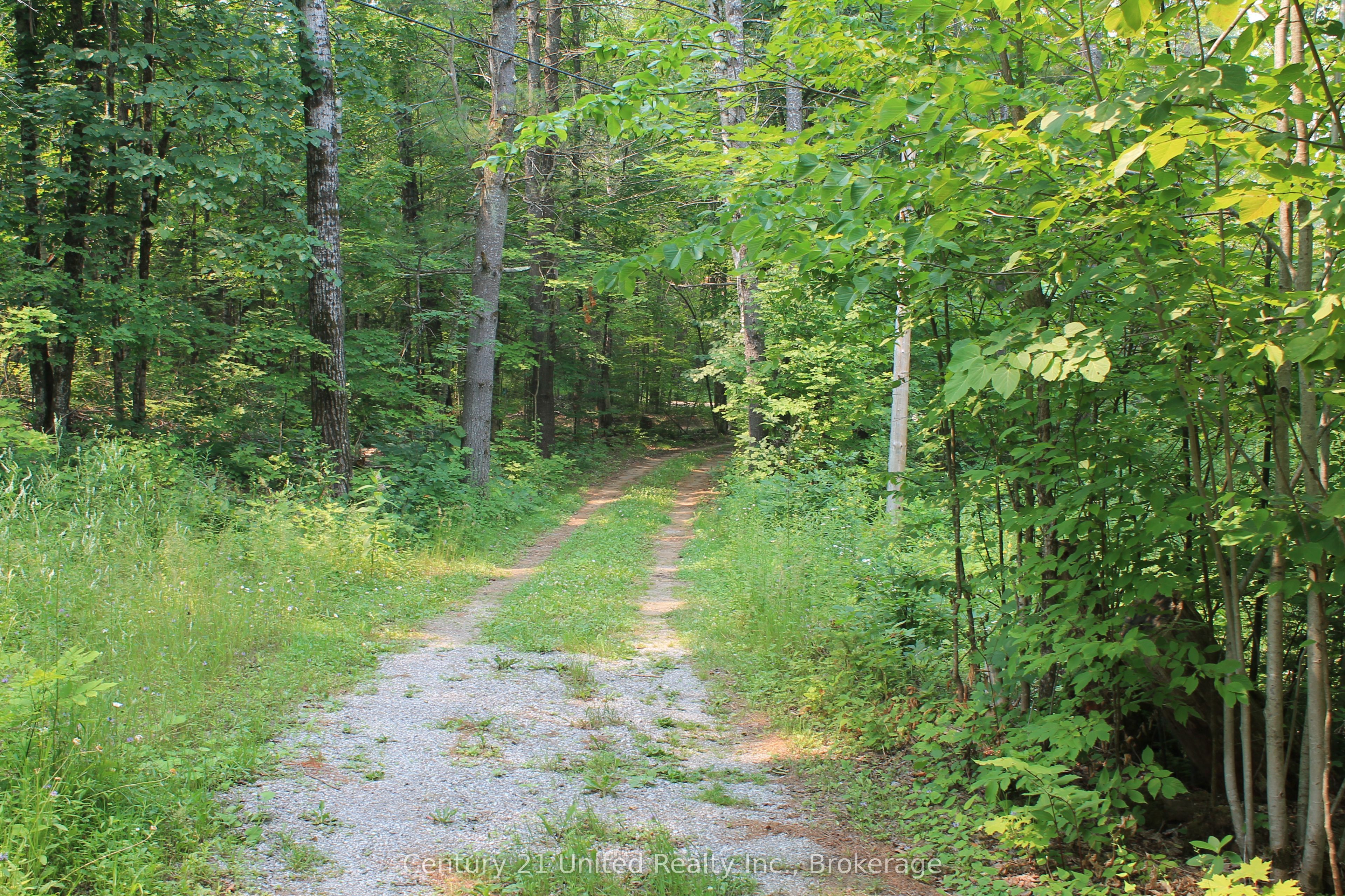 47 Mckee Avenue Property Photo 23