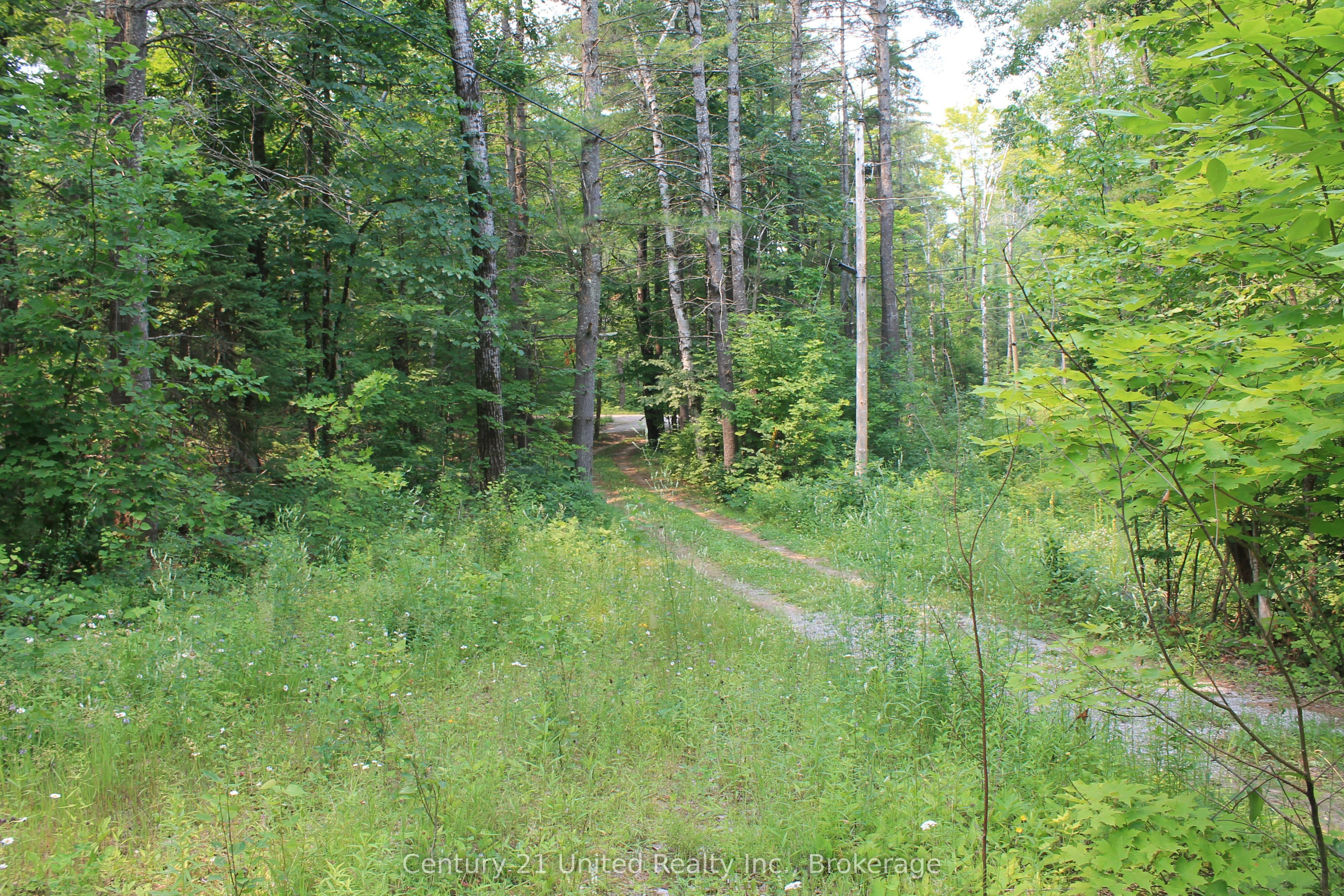 47 Mckee Avenue Property Photo 24