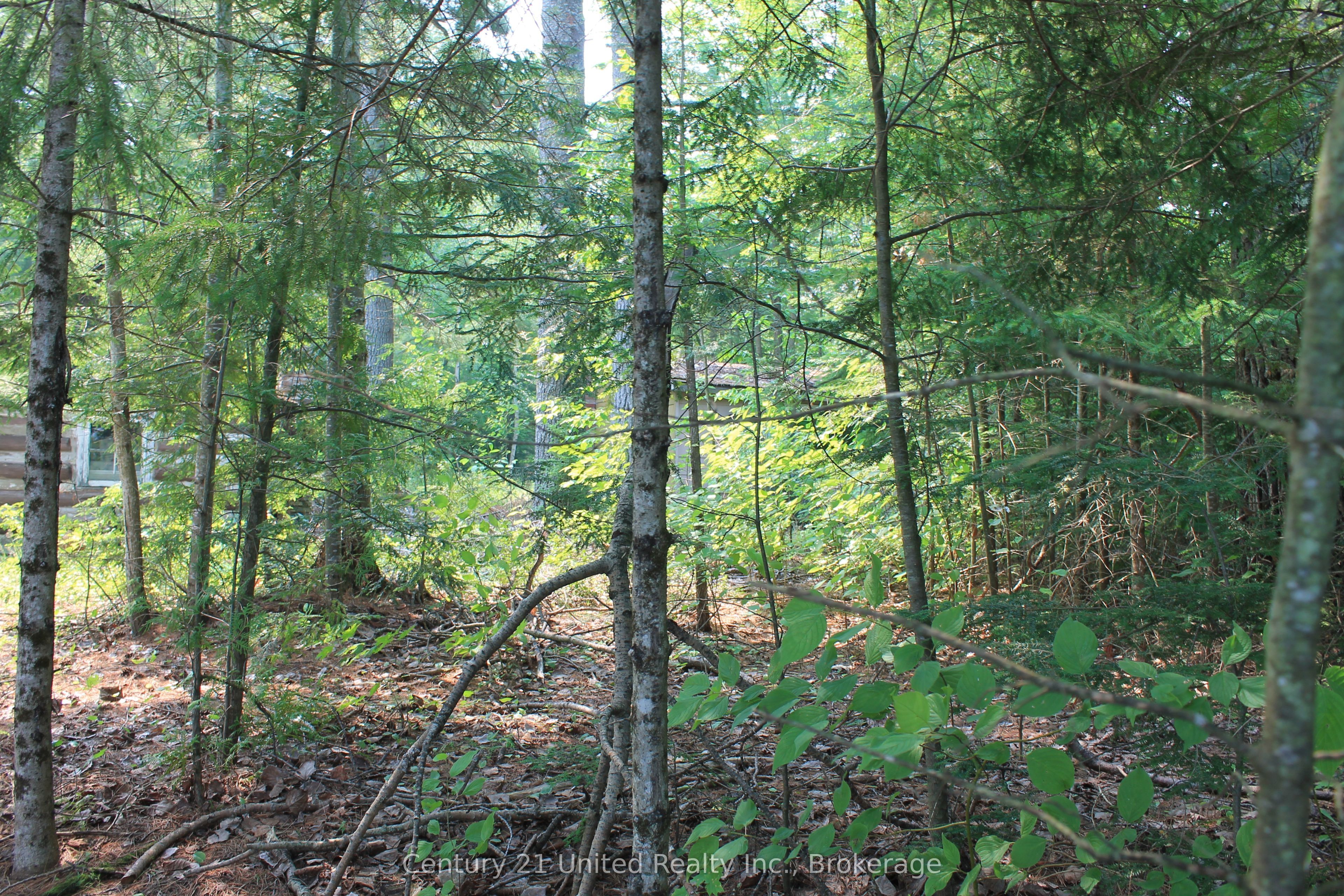 47 Mckee Avenue Property Photo 25