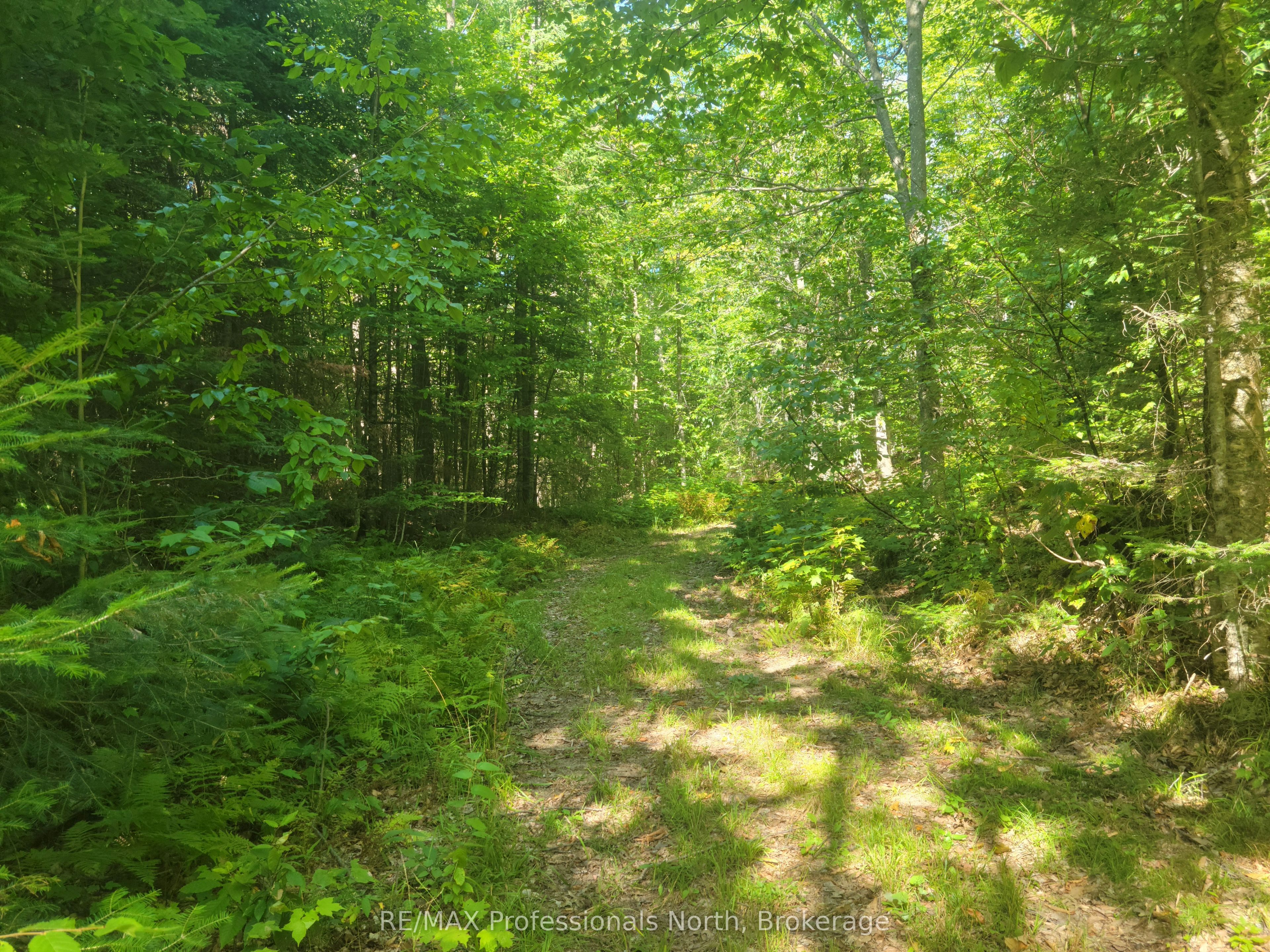 364 Forestry Tower Road Property Photo 32