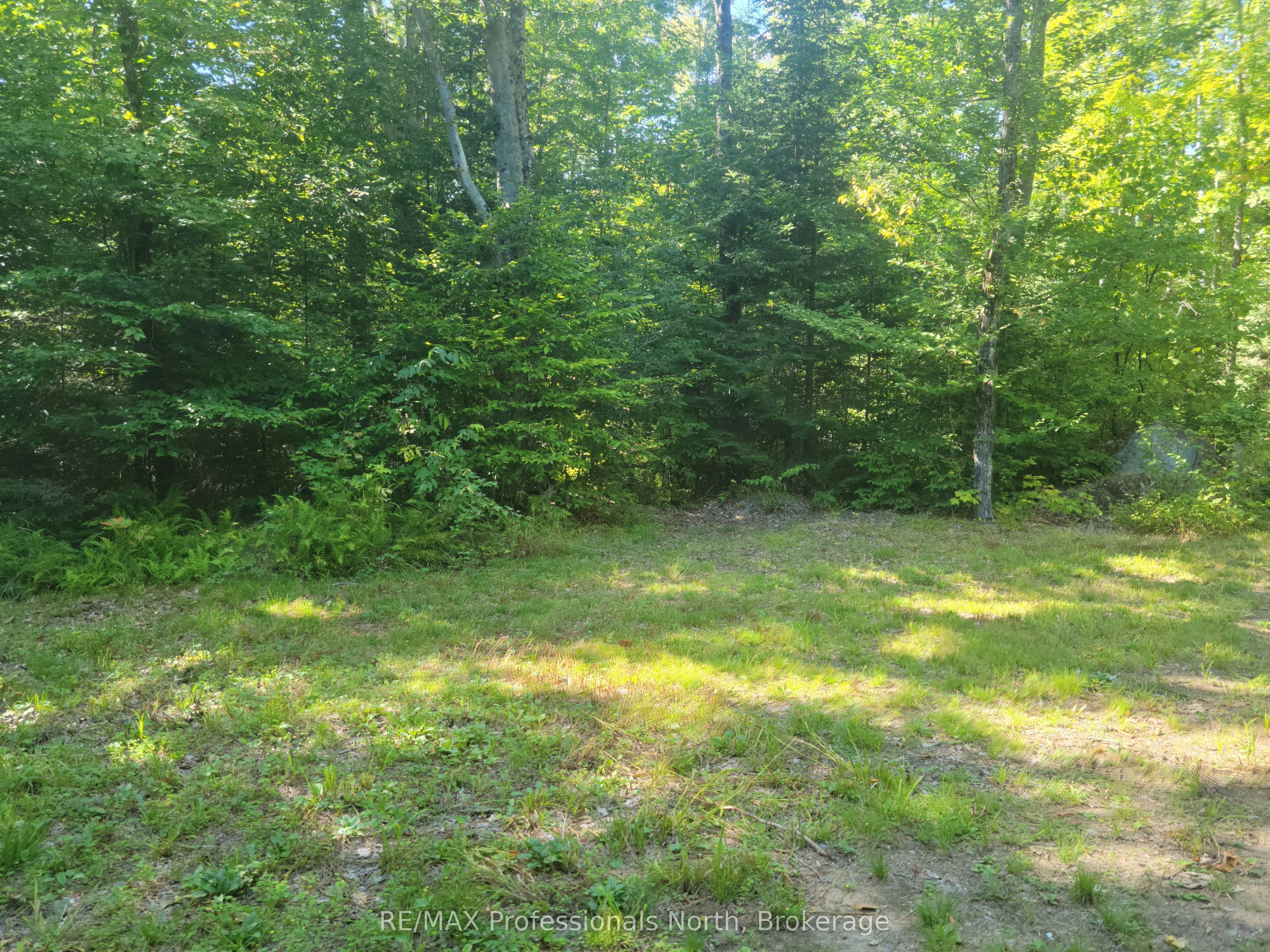 364 Forestry Tower Road Property Photo 34