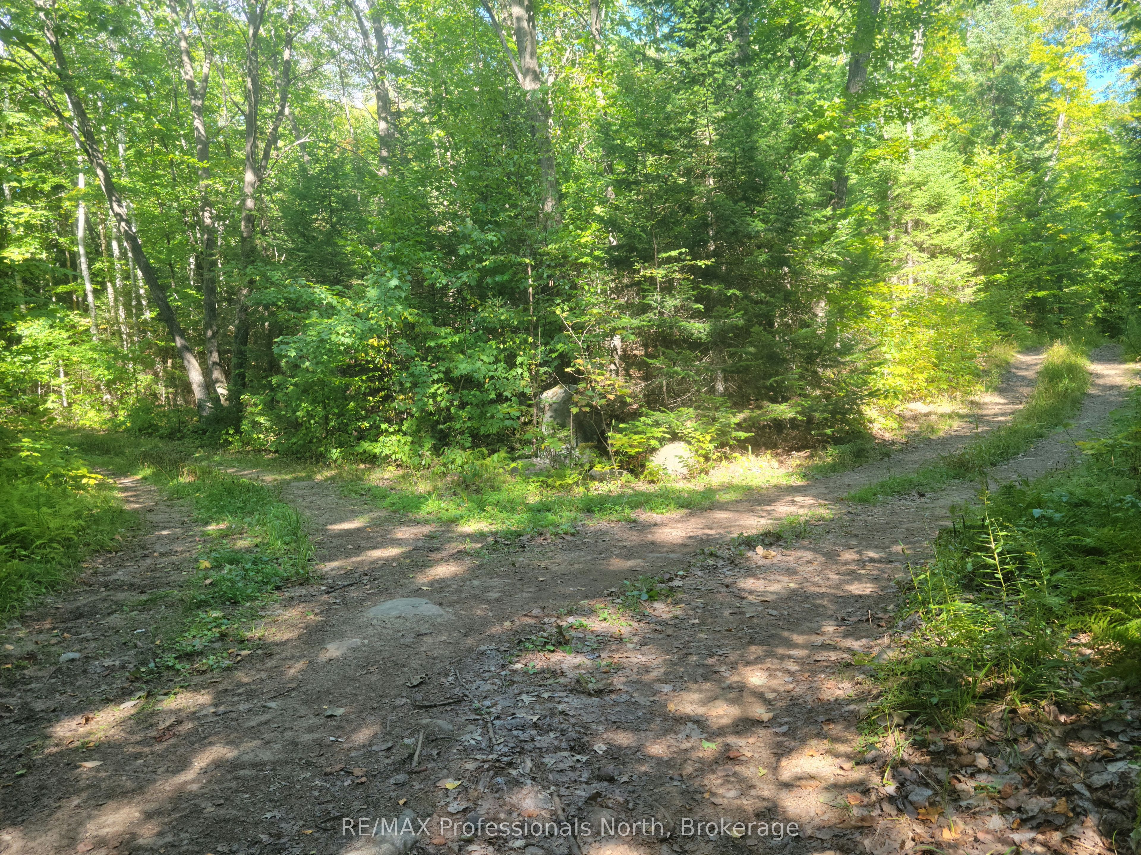 364 Forestry Tower Road Property Photo 37