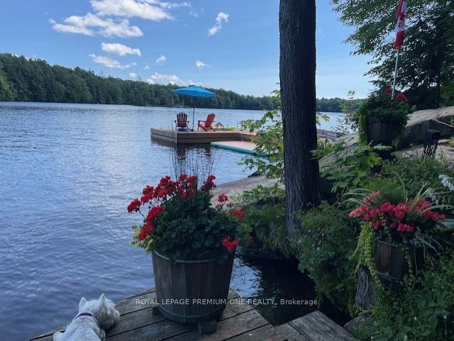 219 Crane Lake Water Property Photo 8